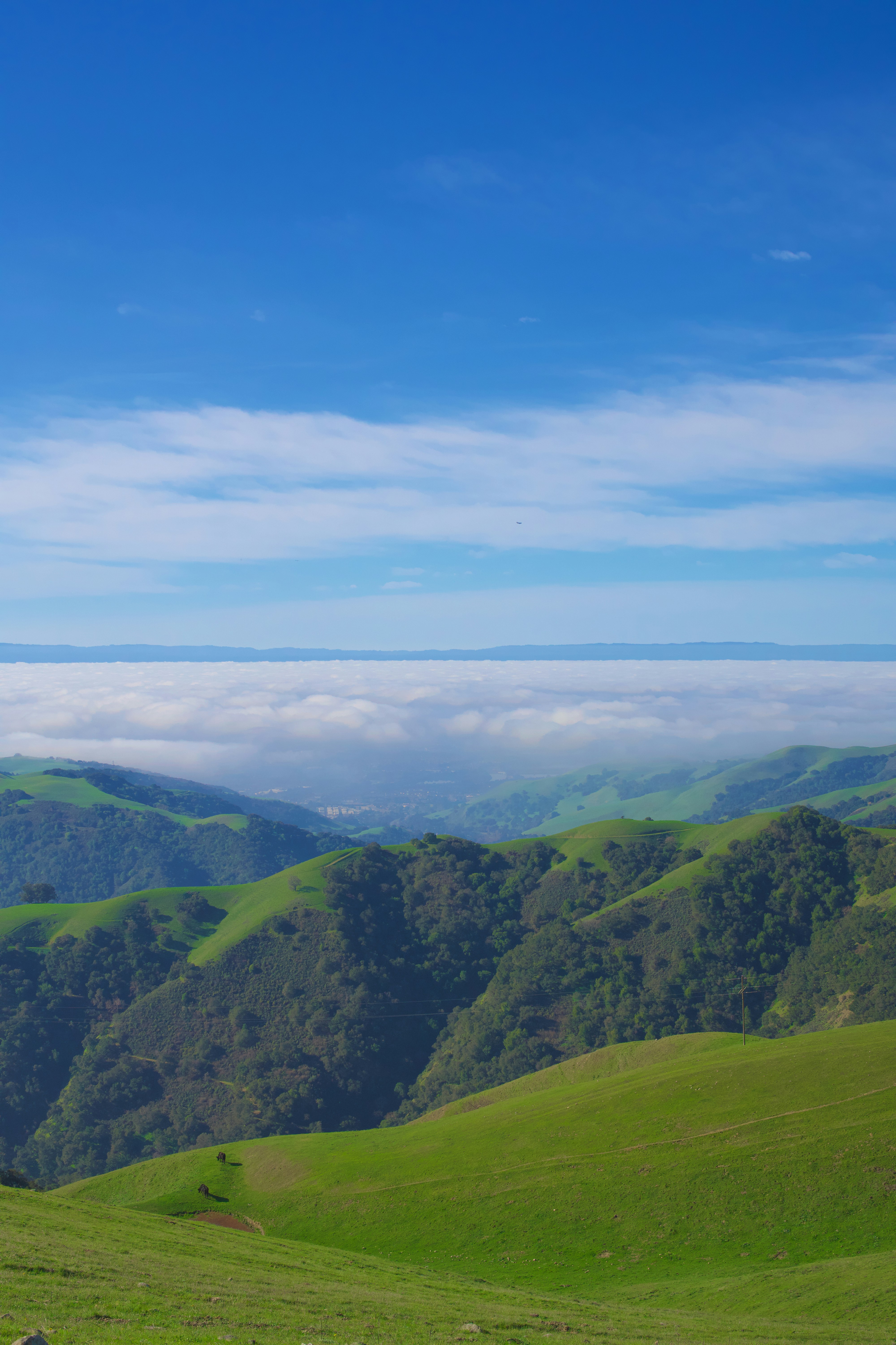 Photo by spencer_demera