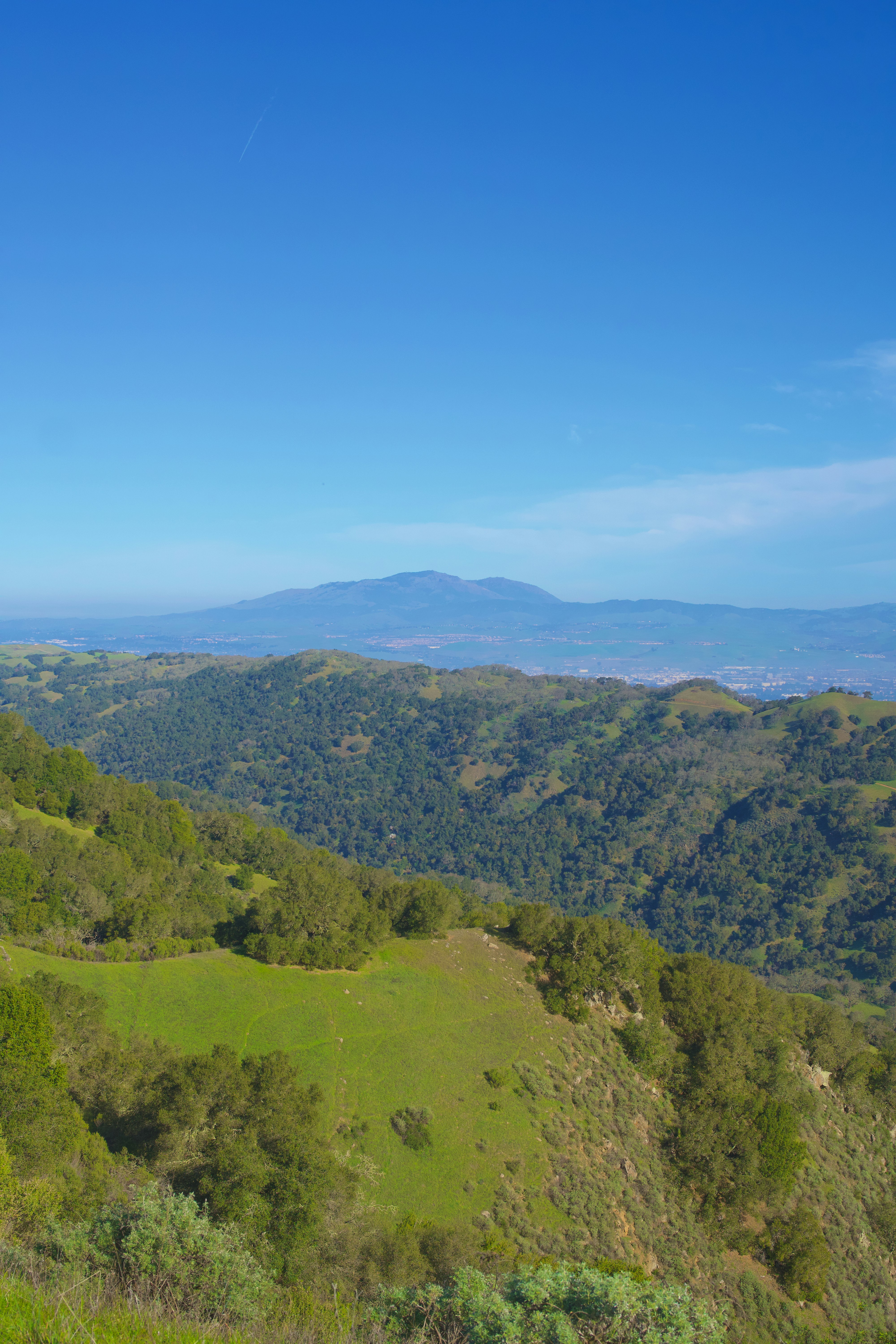 Photo by spencer_demera