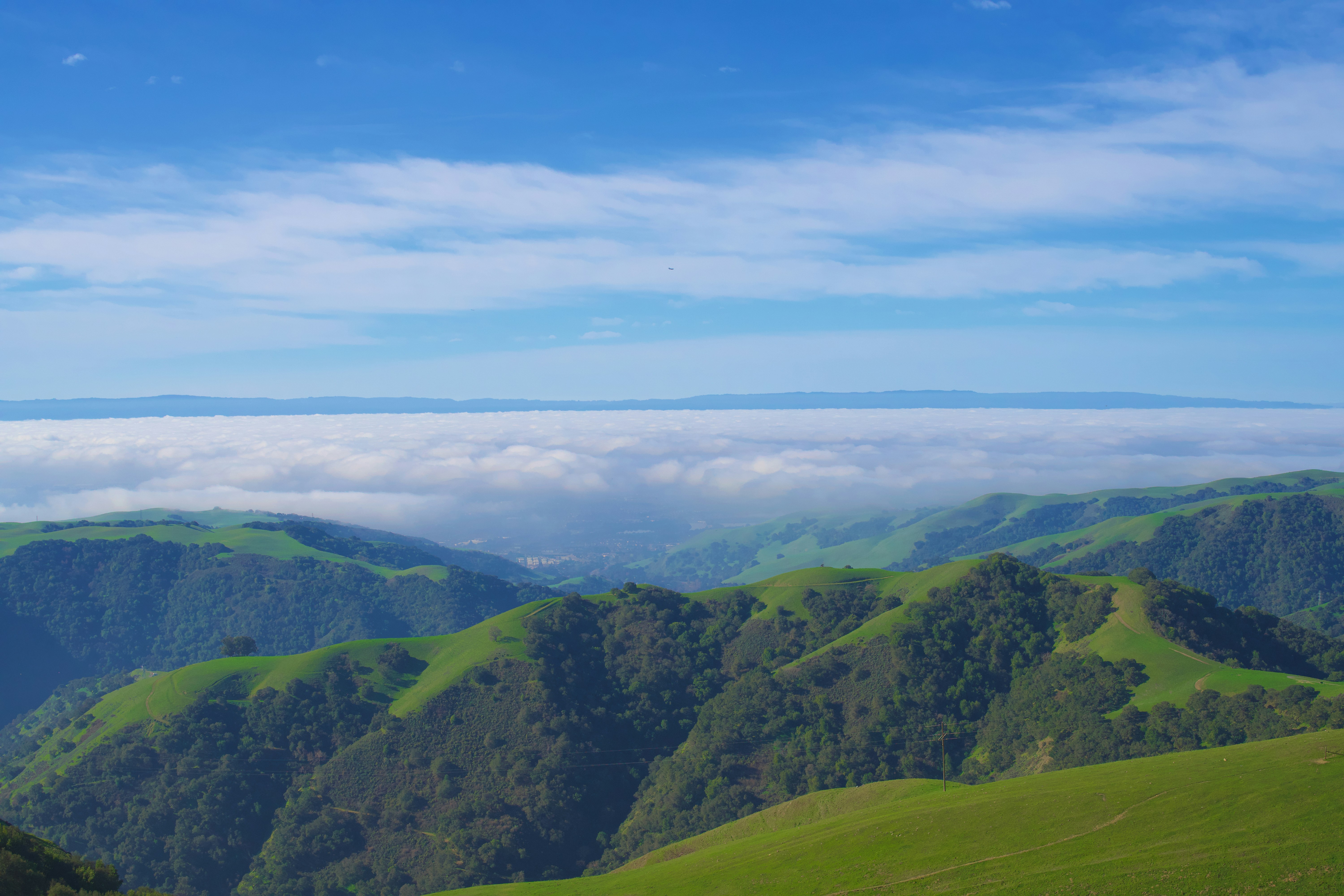 Photo by spencer_demera