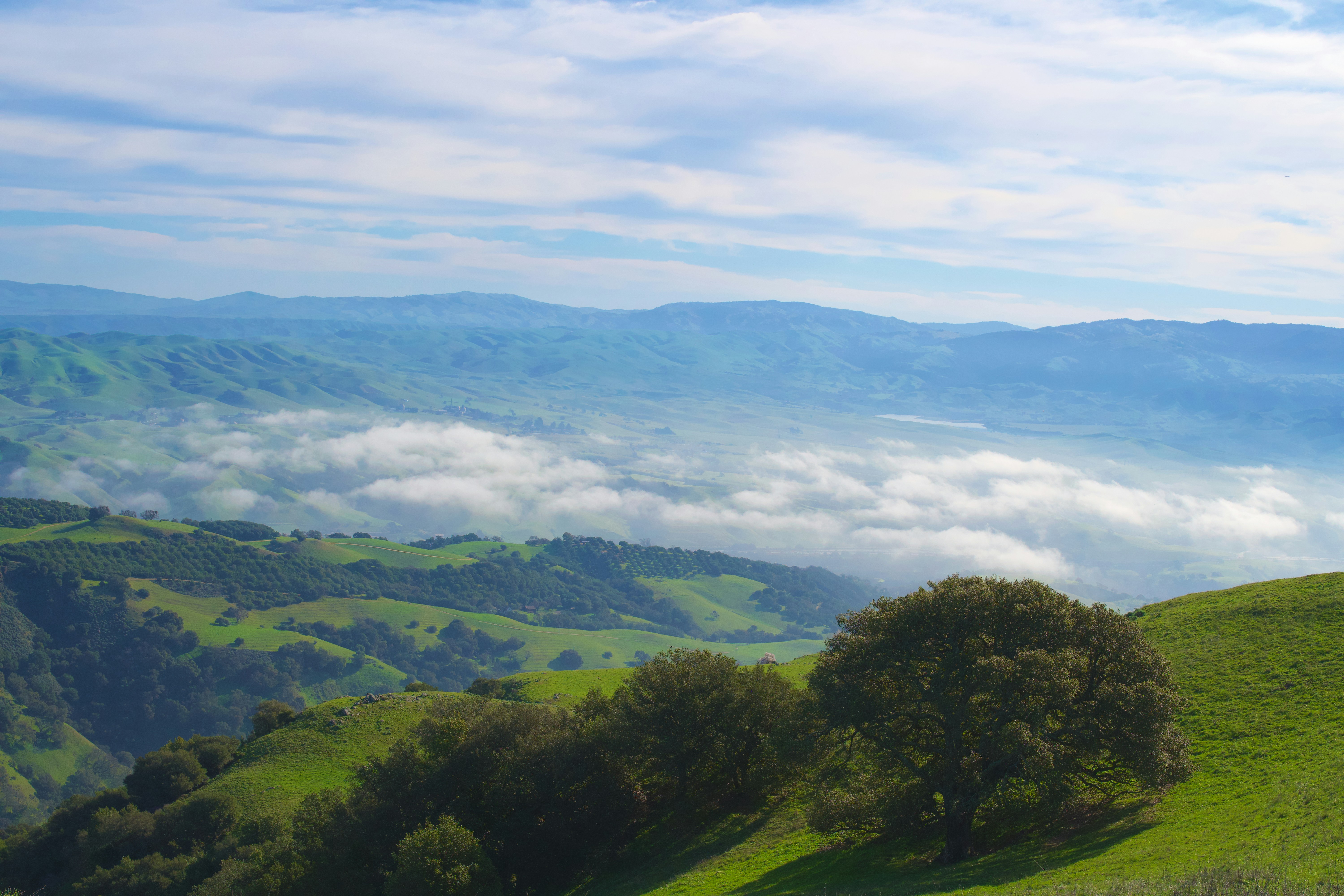 Photo by spencer_demera