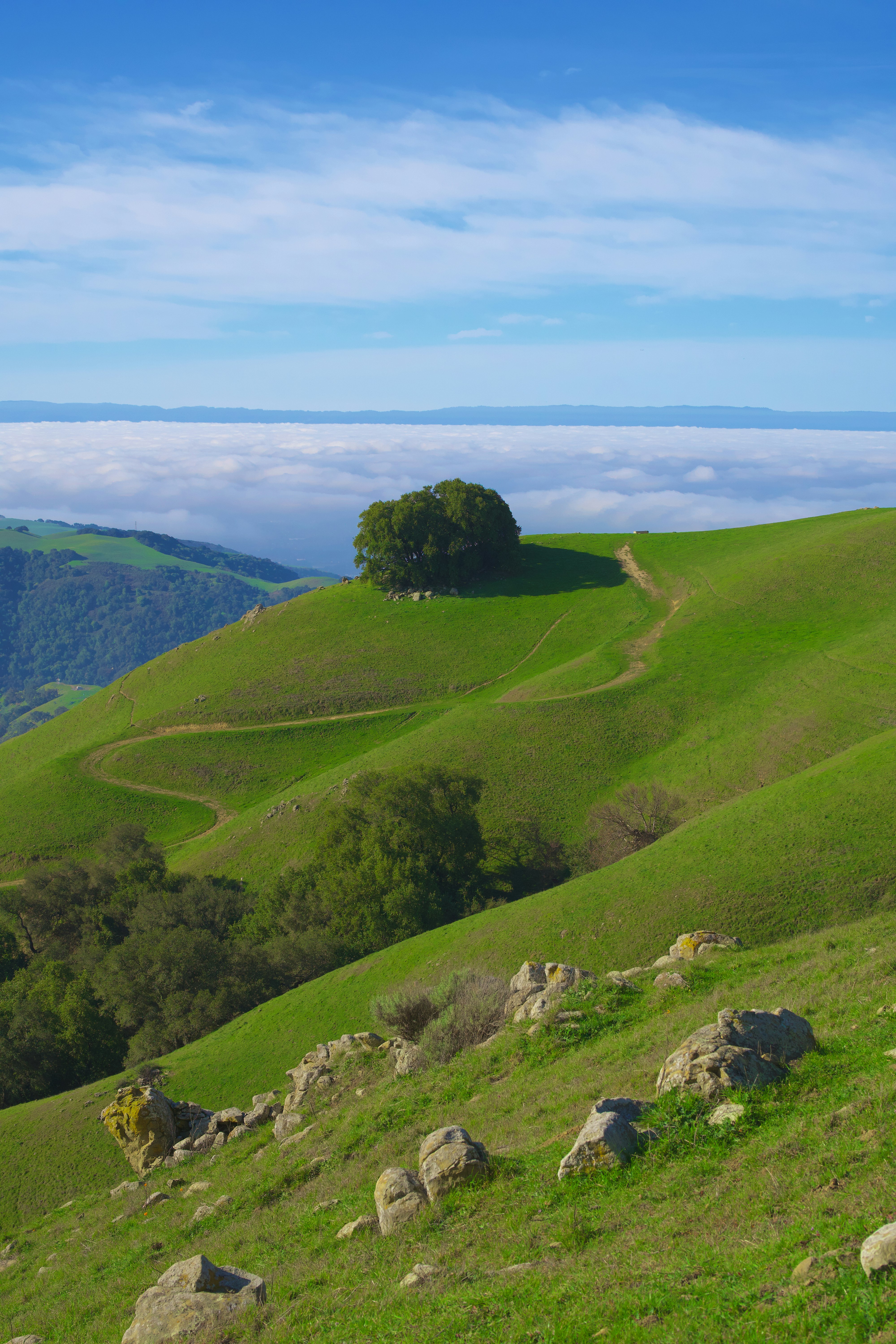 Photo by spencer_demera