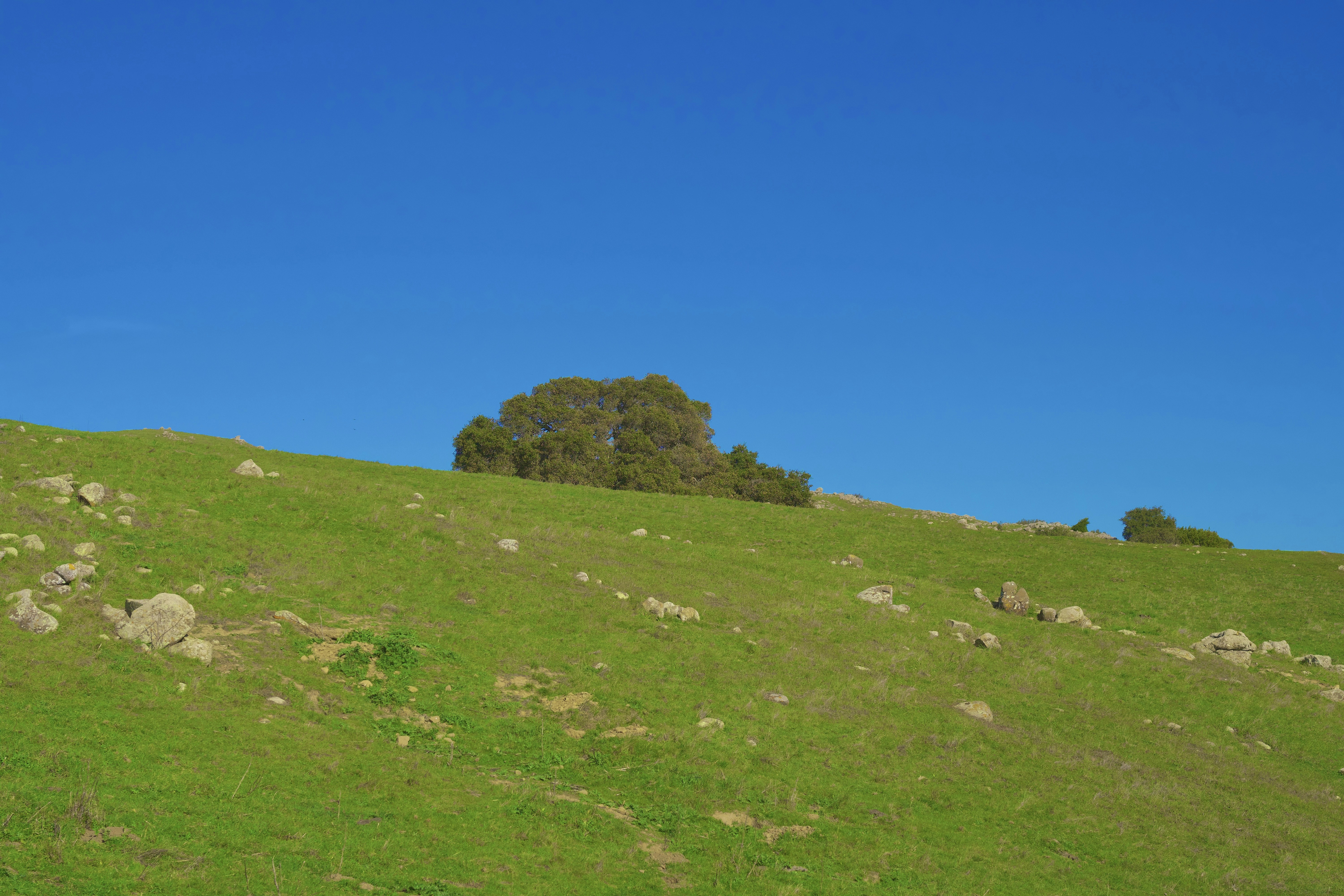 Photo by spencer_demera