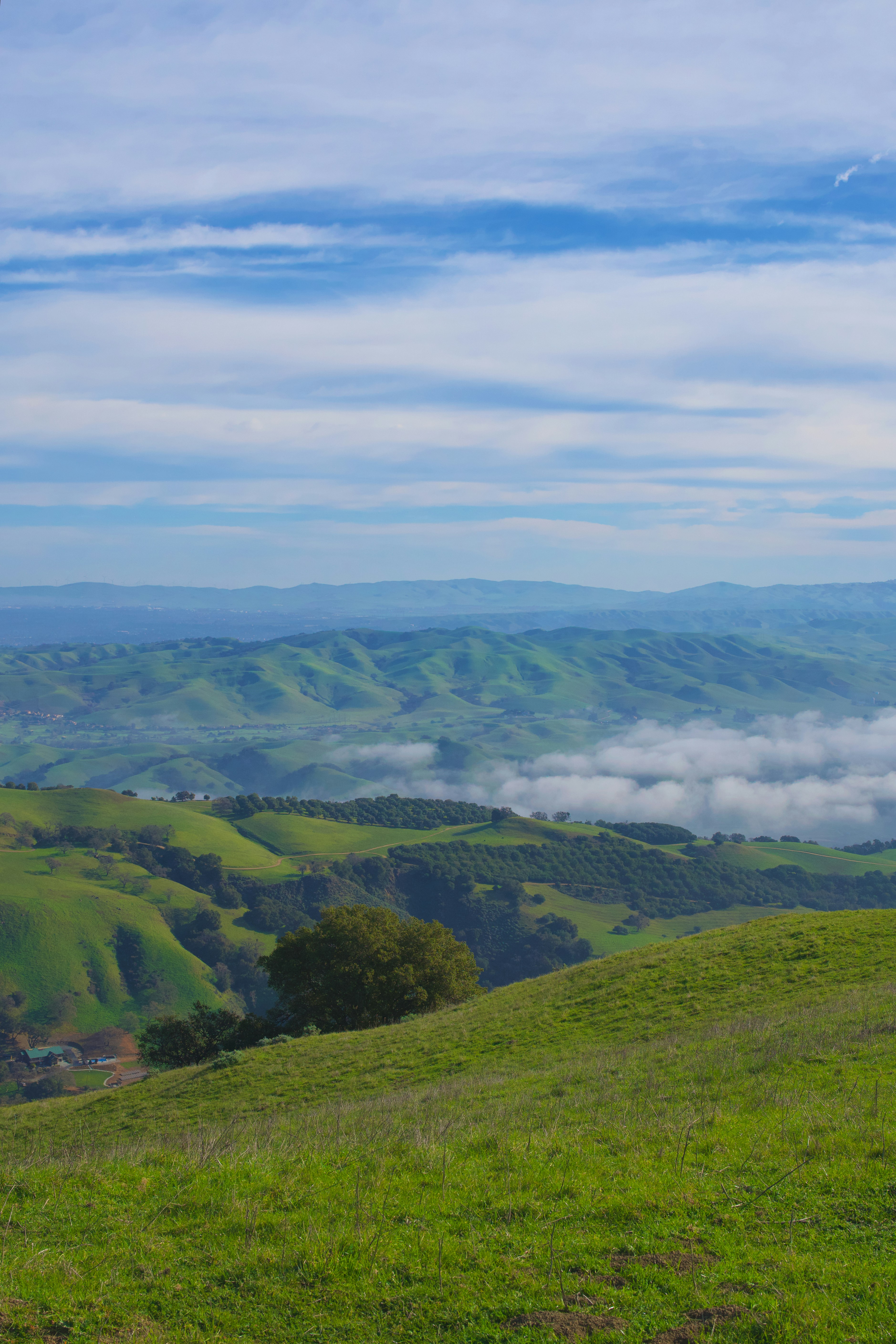 Photo by spencer_demera