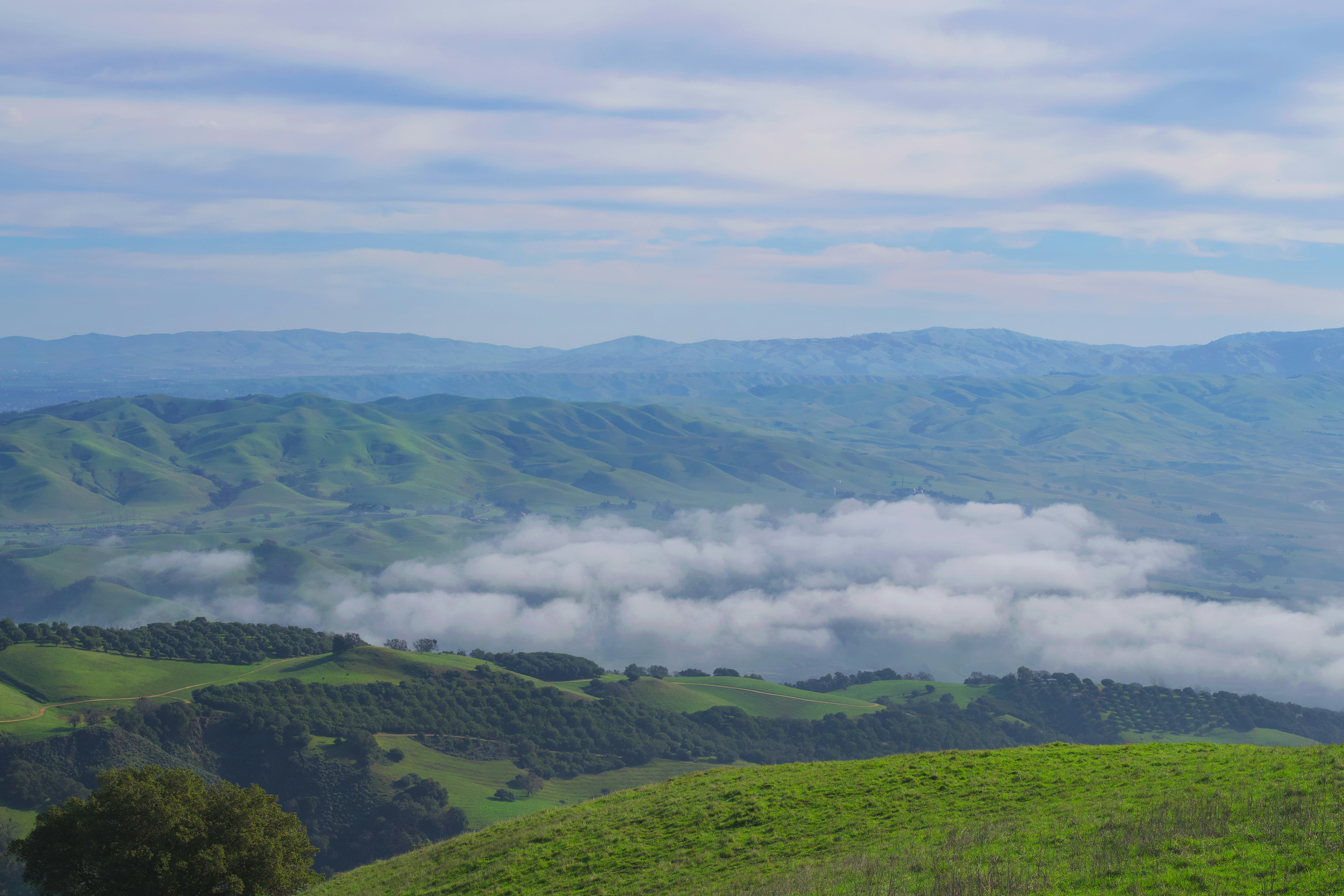 Photo by spencer_demera