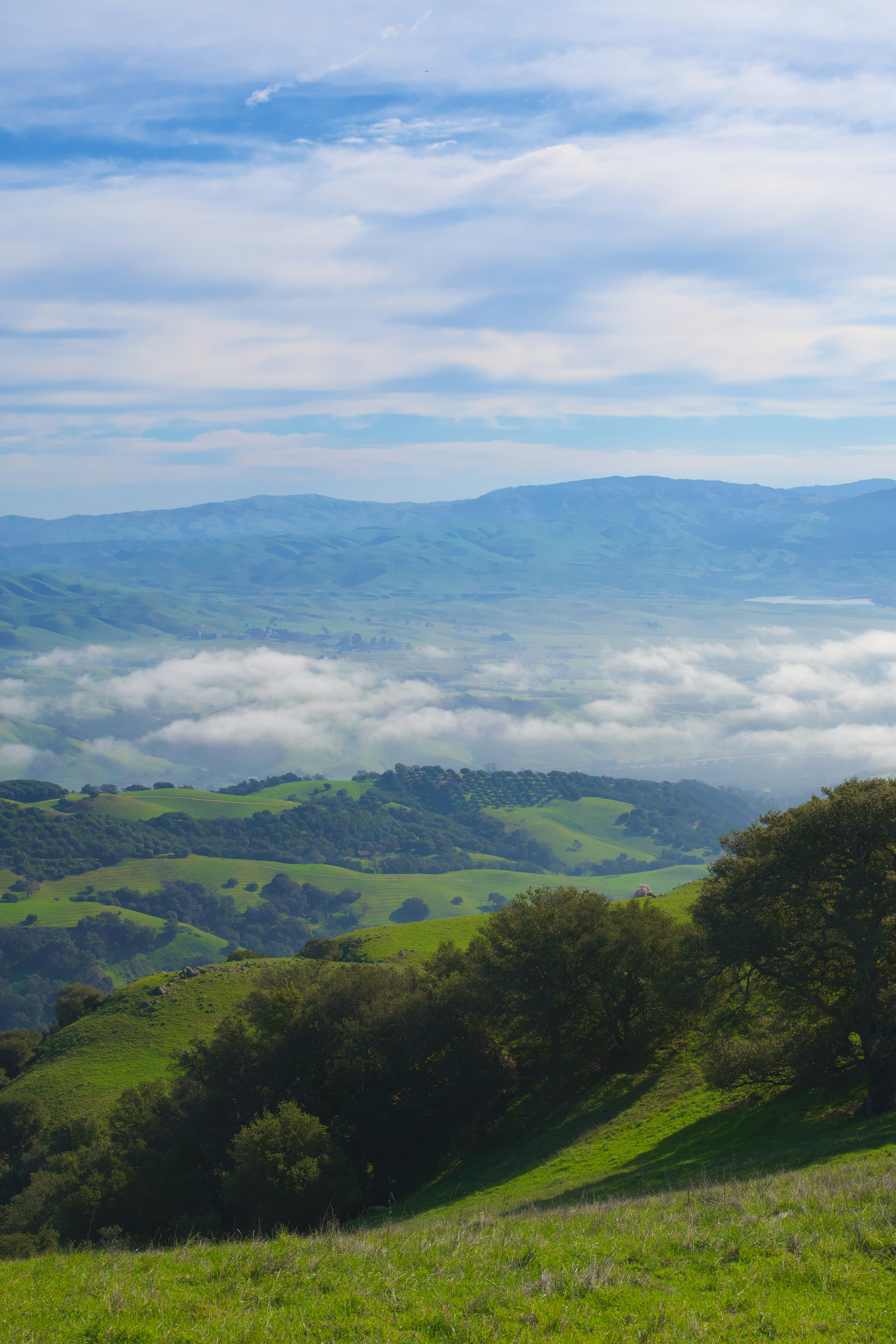 Photo by spencer_demera