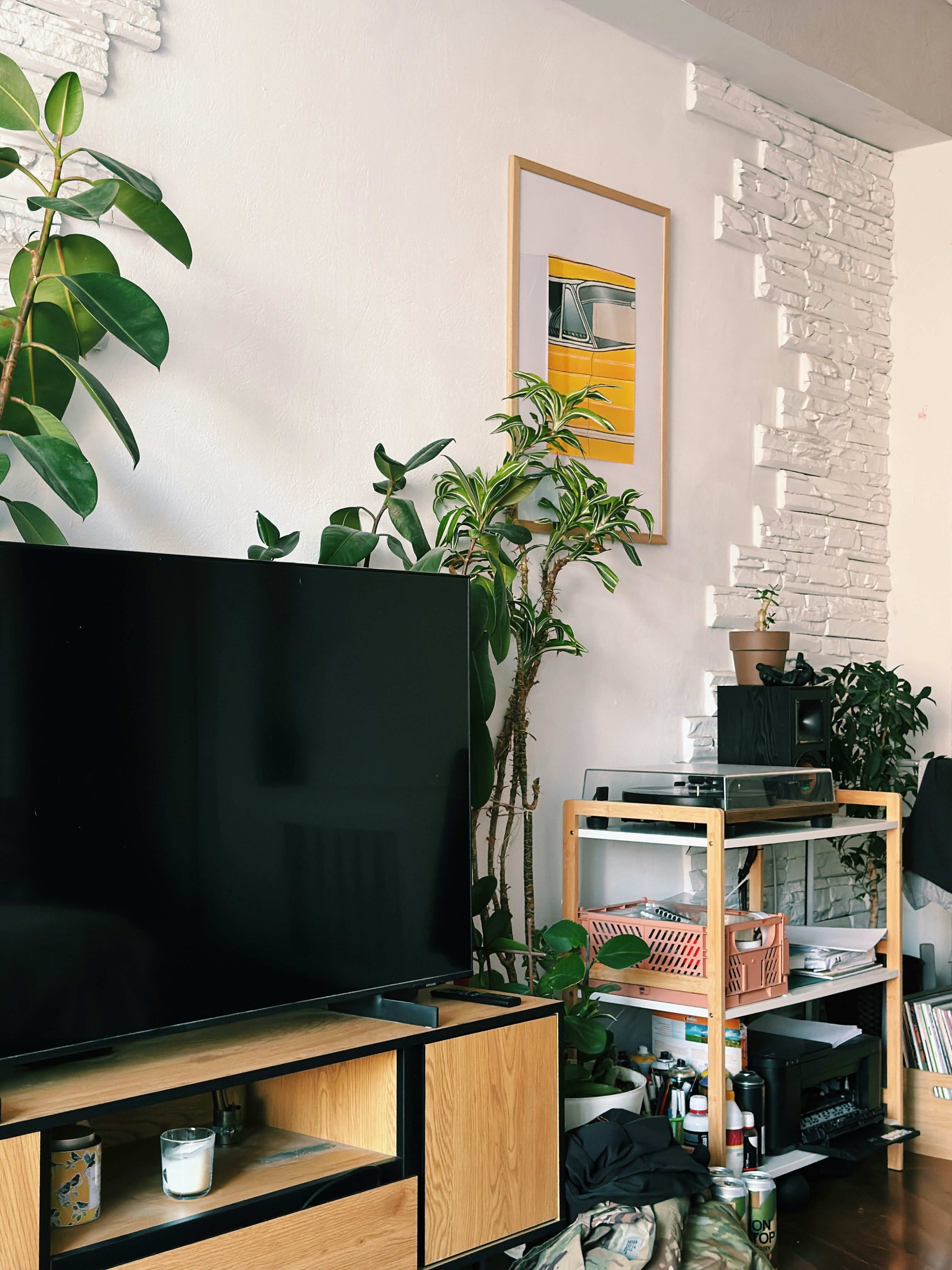 Living room with television and plants