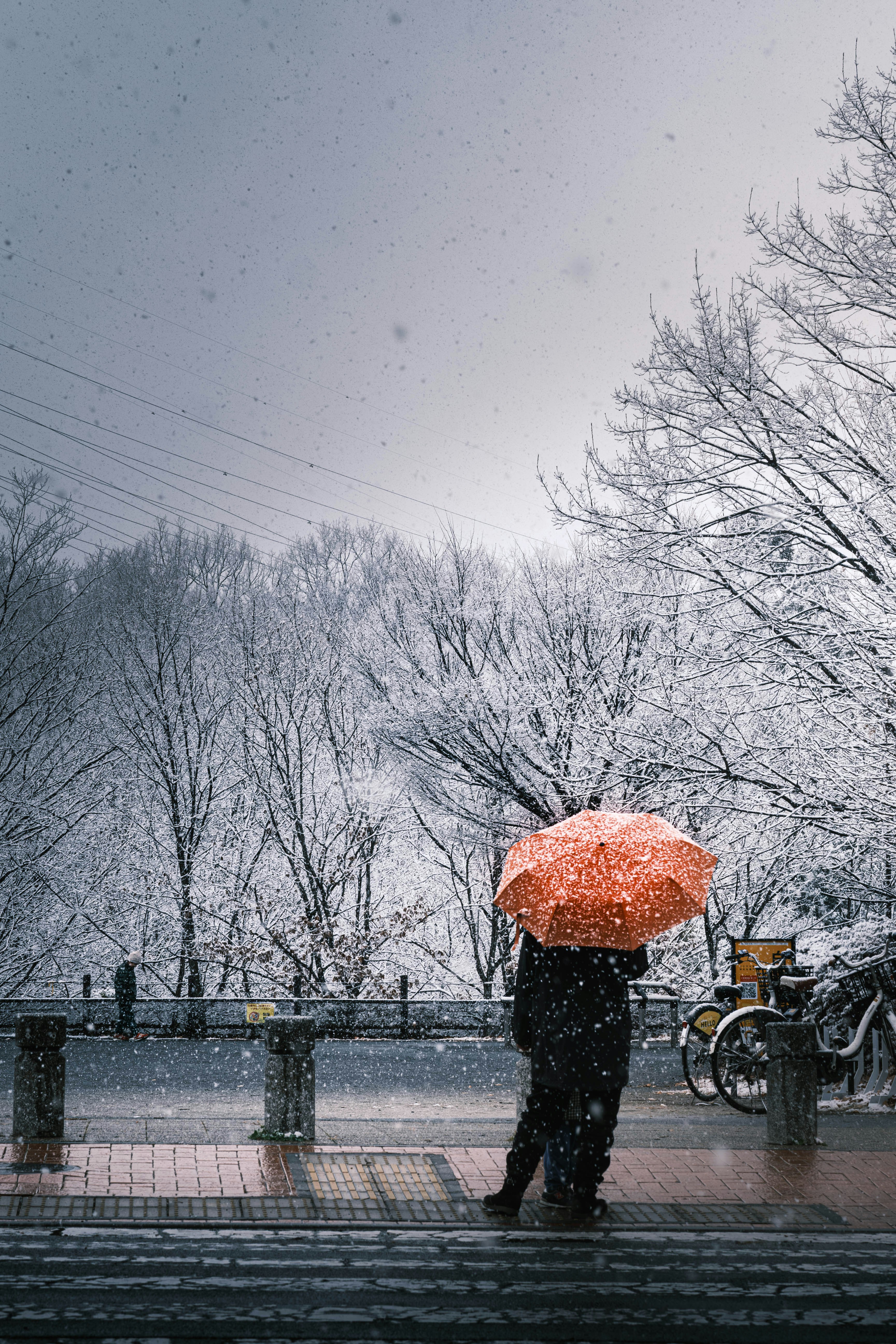 Person with red umbrella in falling snow