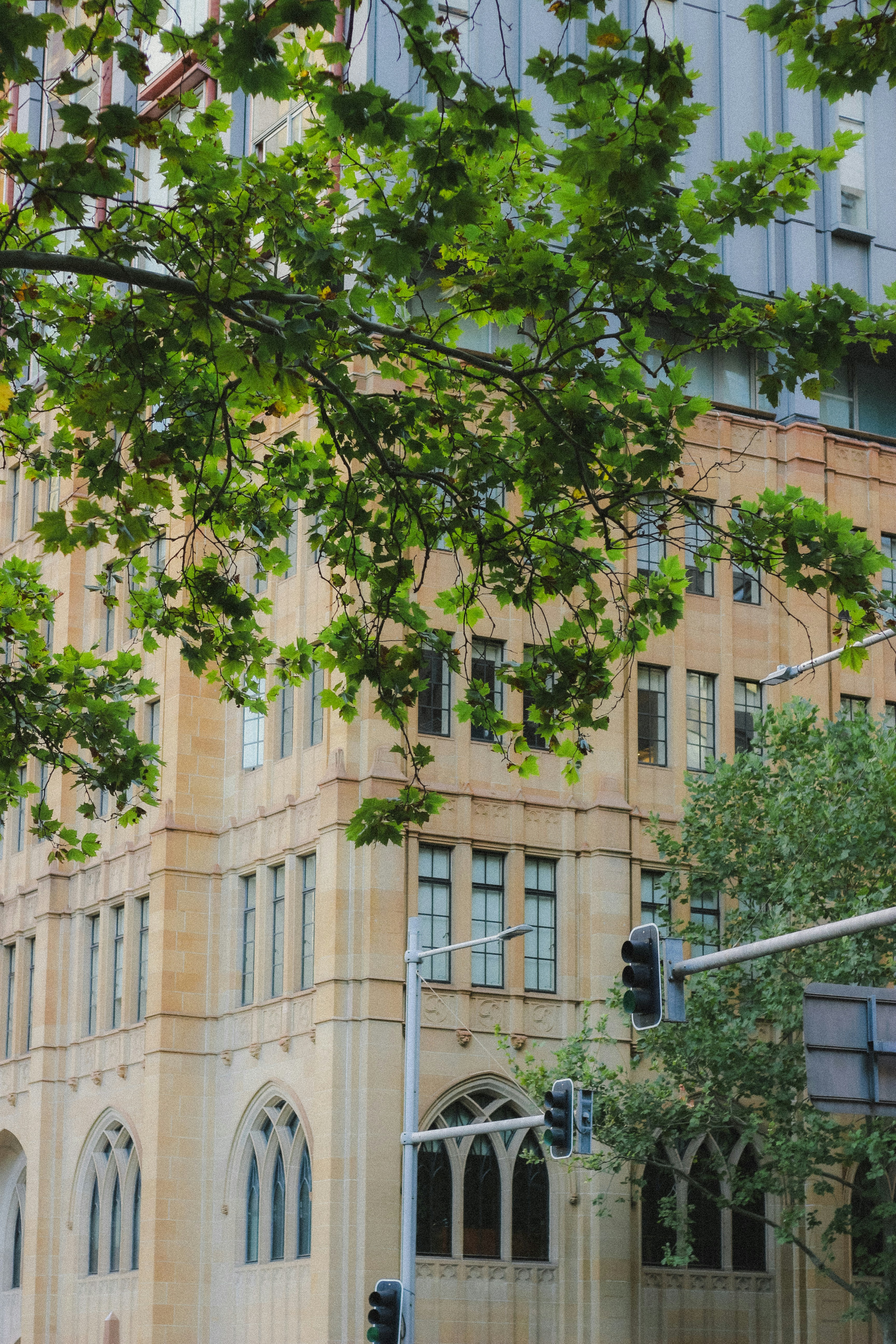 Photo by angie_baongoc