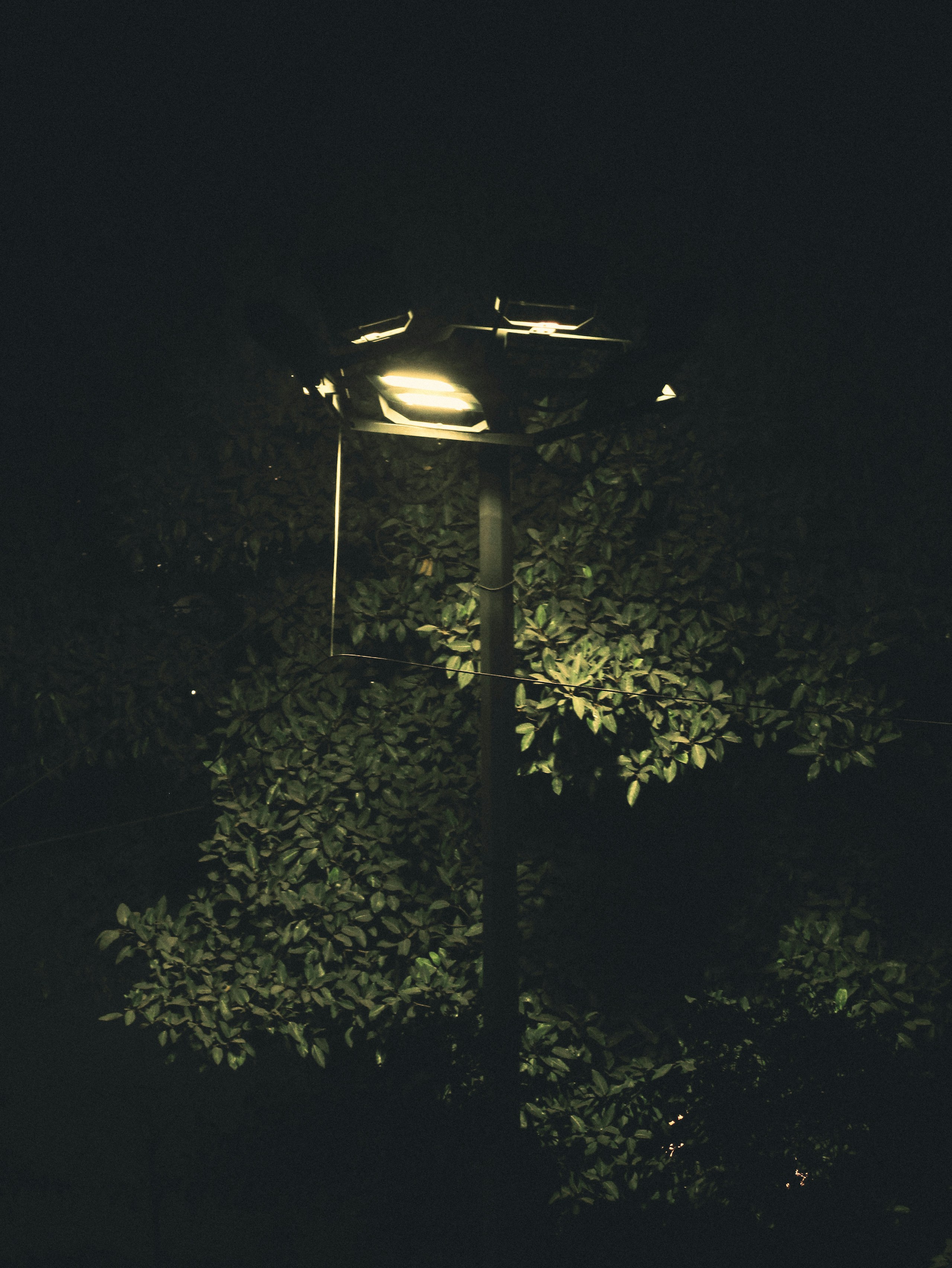 Photo by sanketjawali