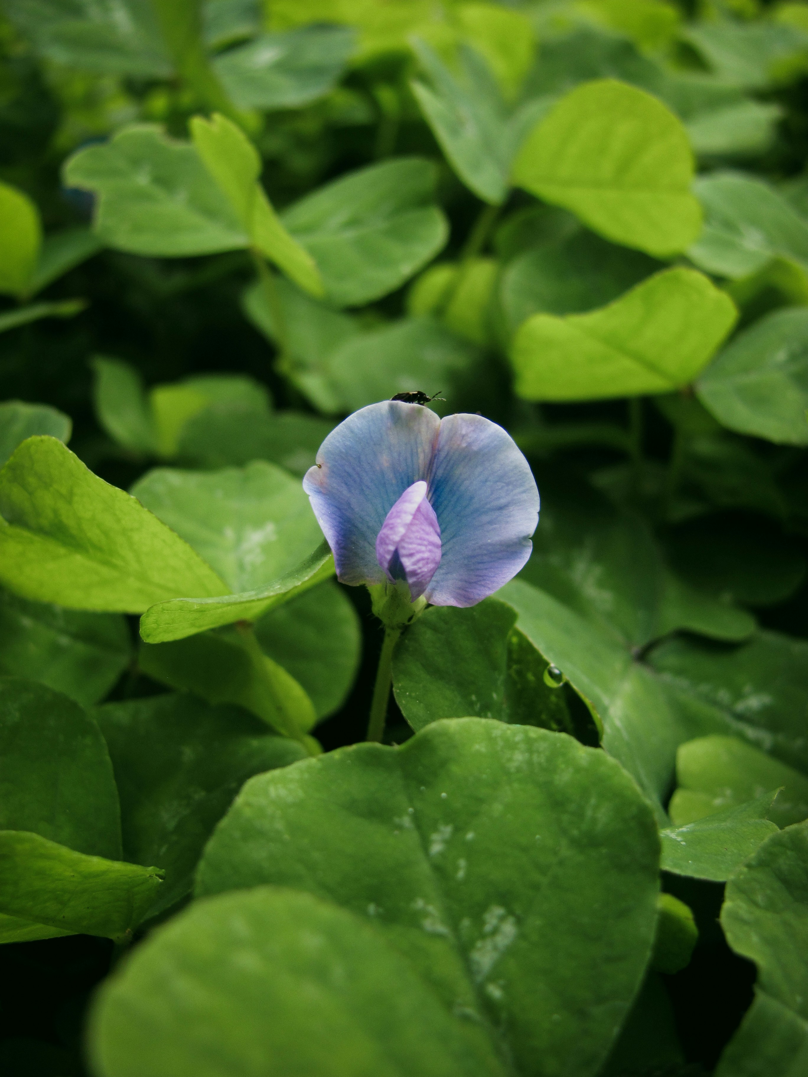 Photo by sanketjawali