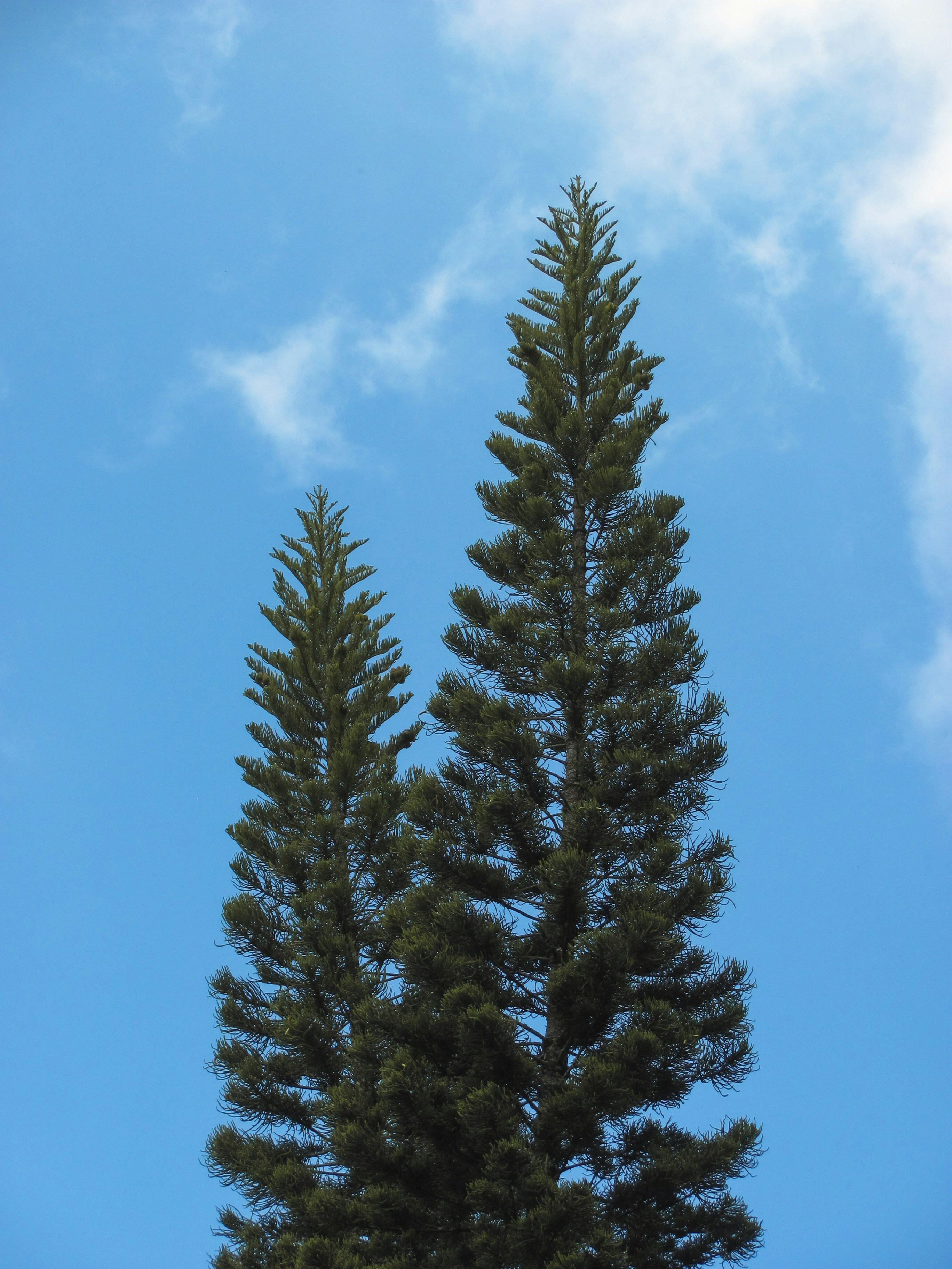 Photo by sanketjawali