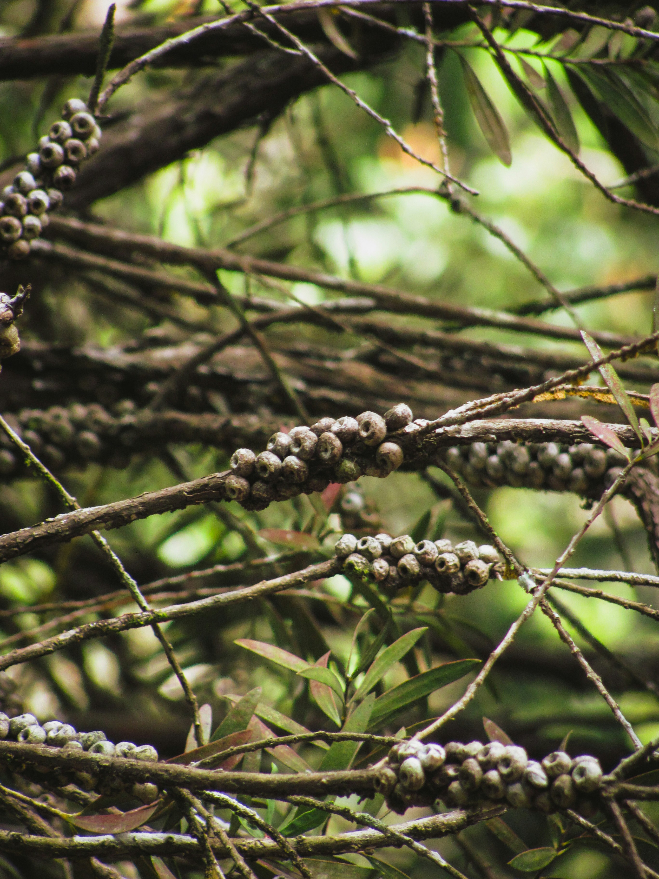 Photo by sanketjawali