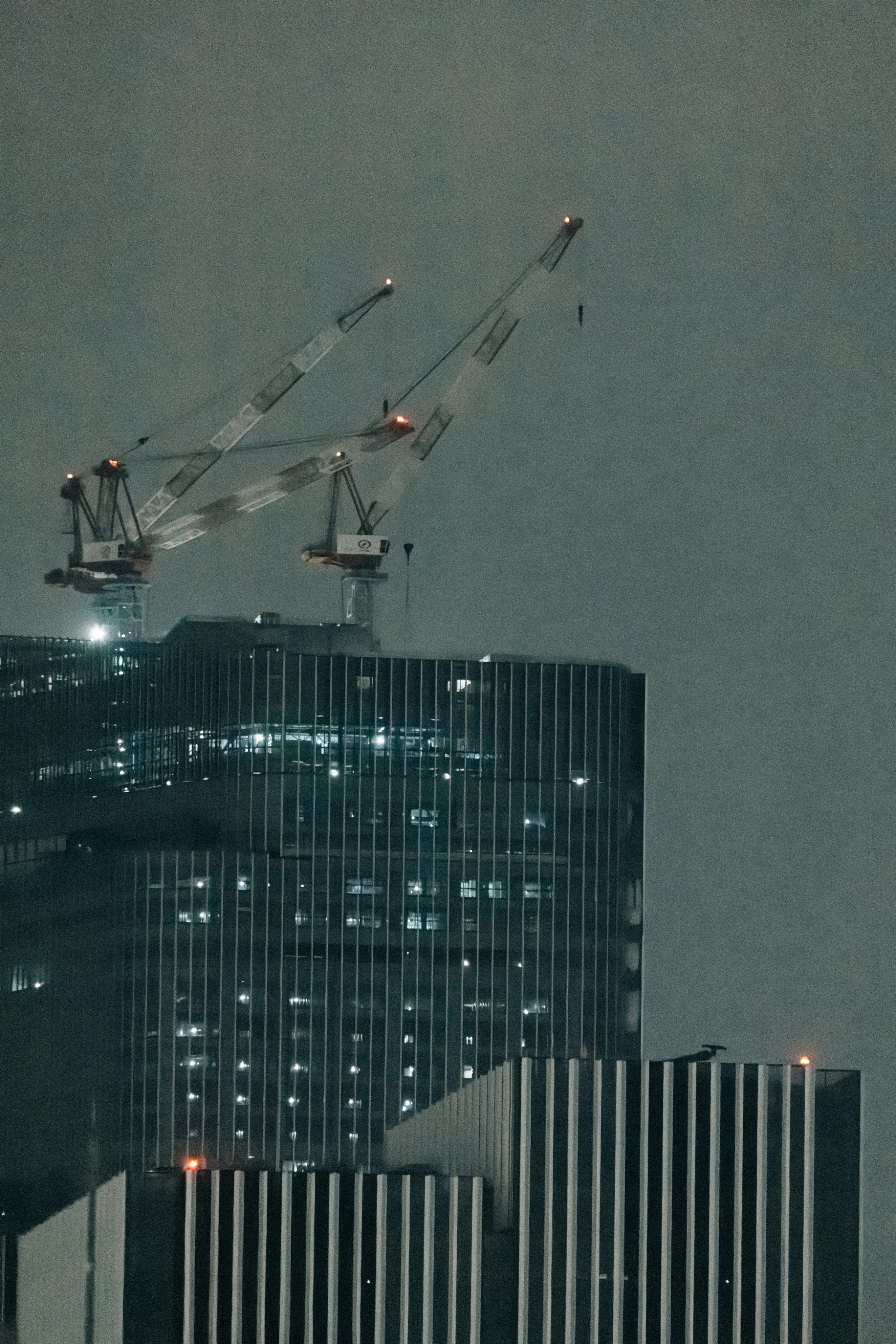 Two cranes atop illuminated buildings at night.