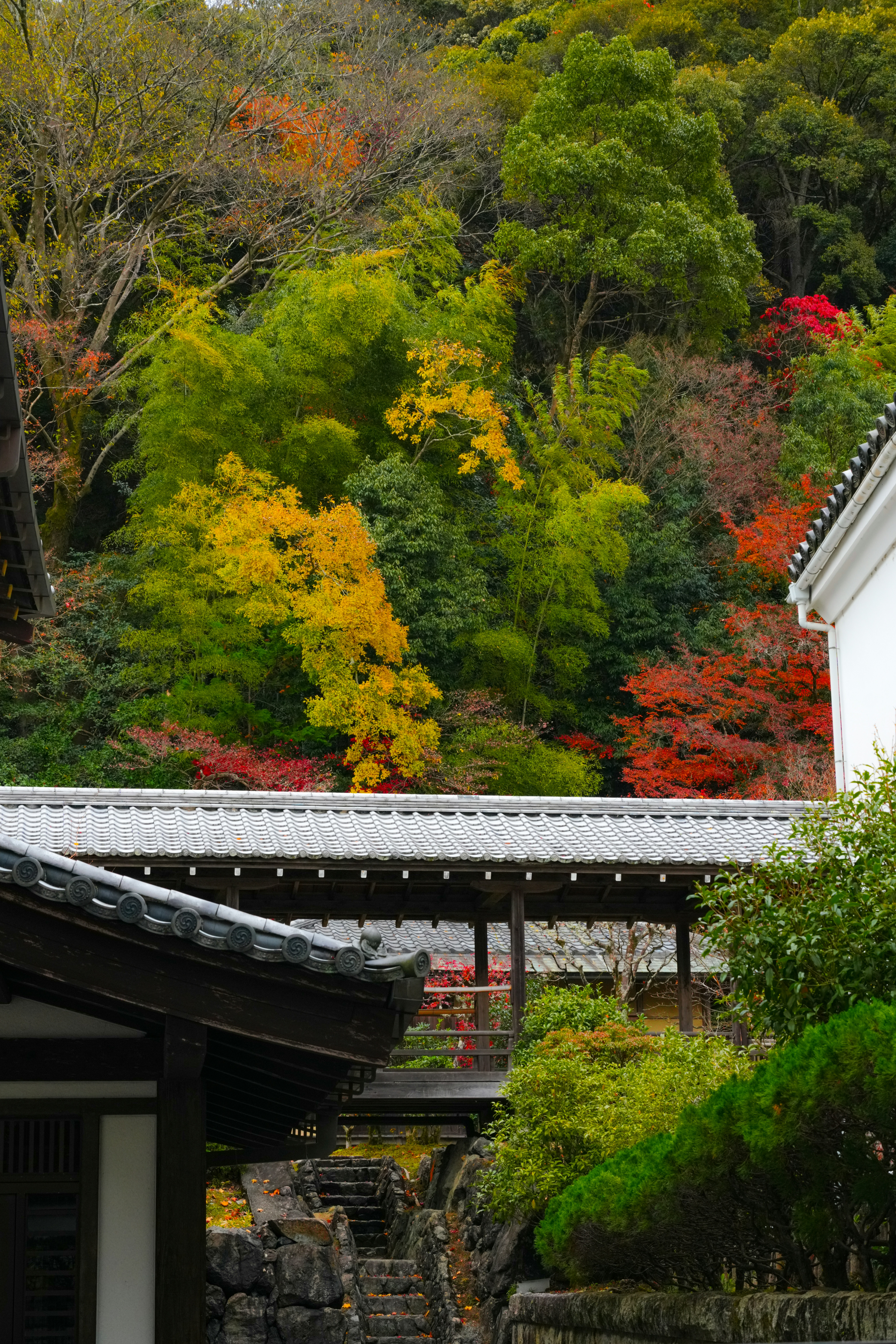 Photo by hattrick1996