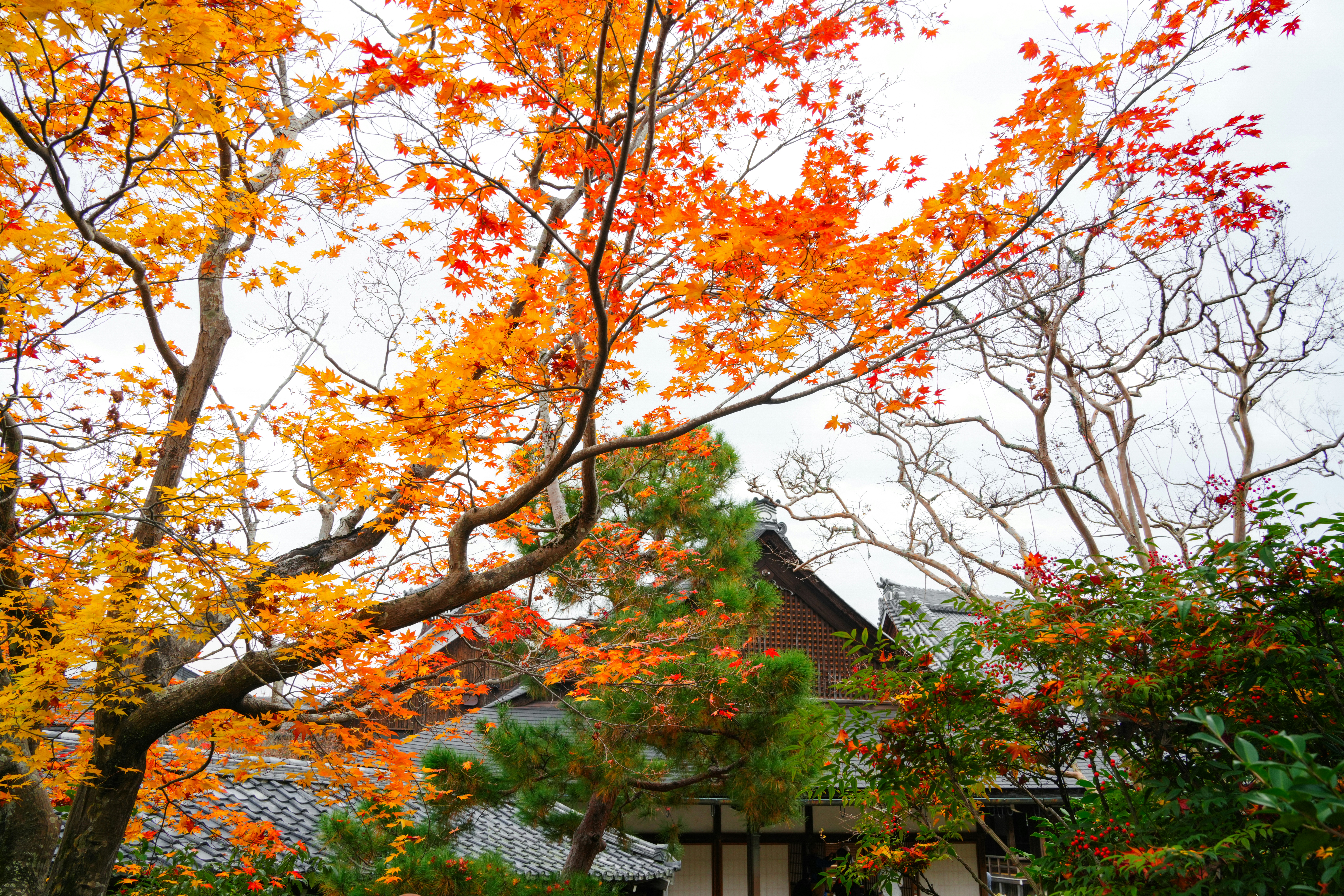 Photo by hattrick1996