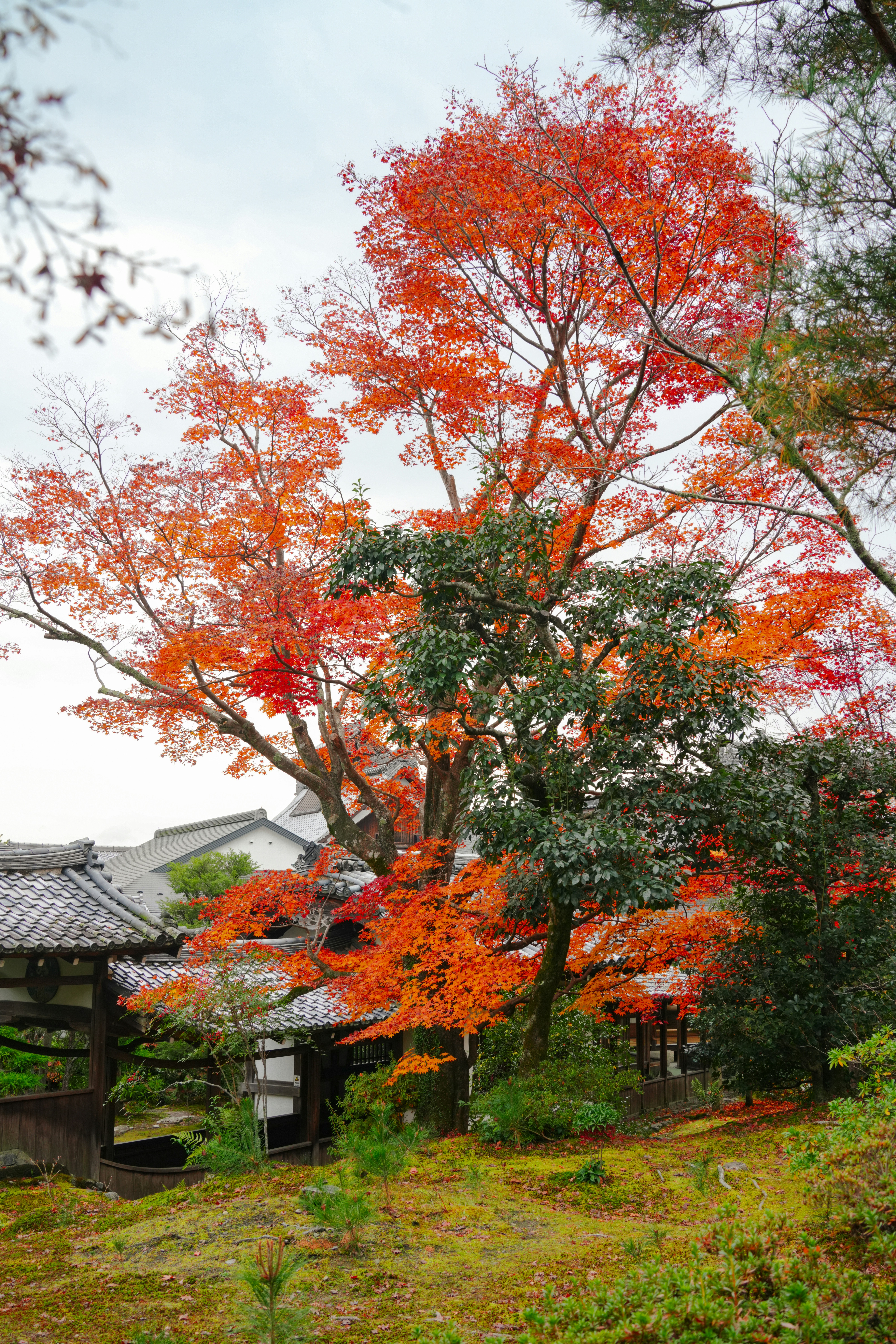 Photo by hattrick1996