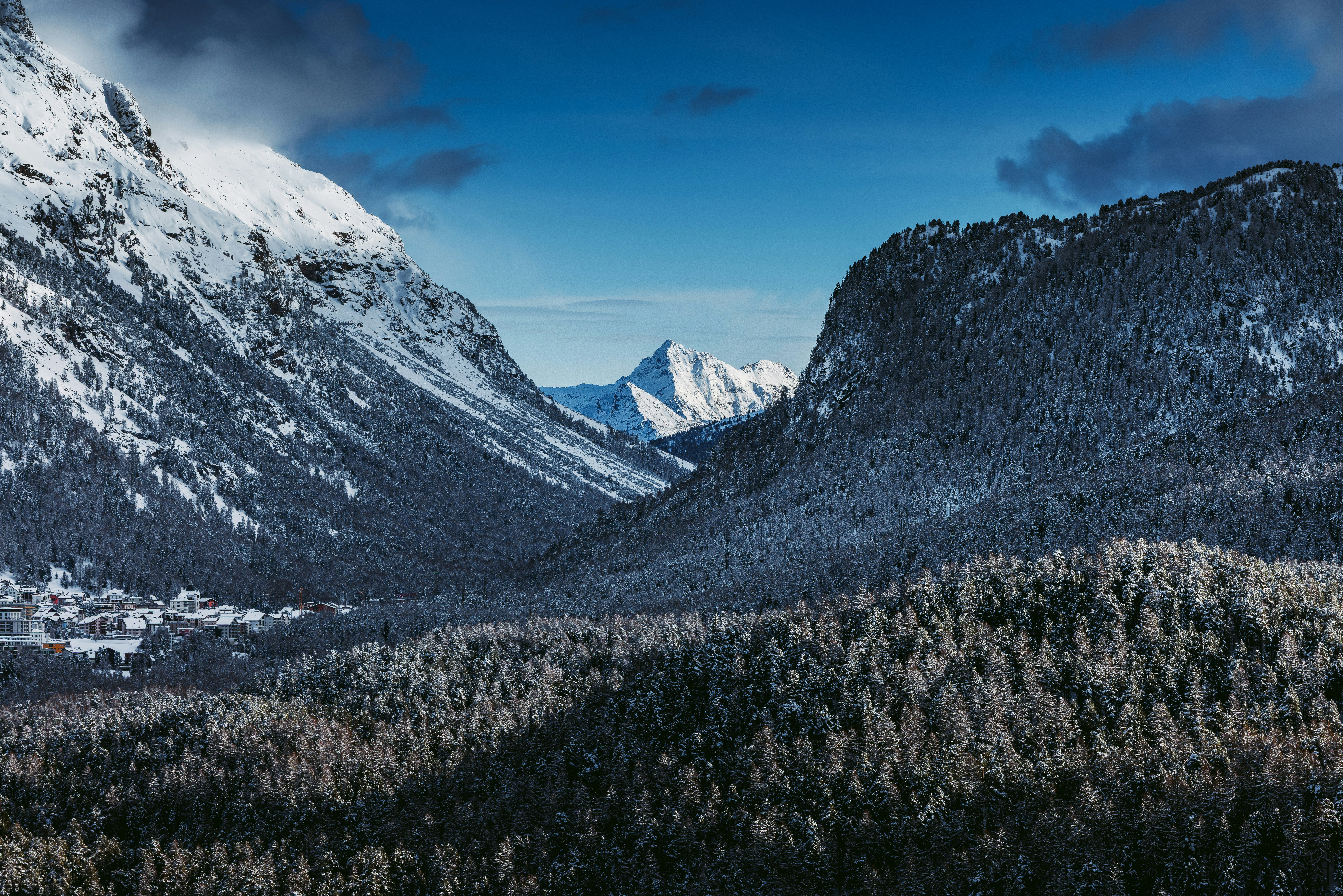 Photo by springsimon