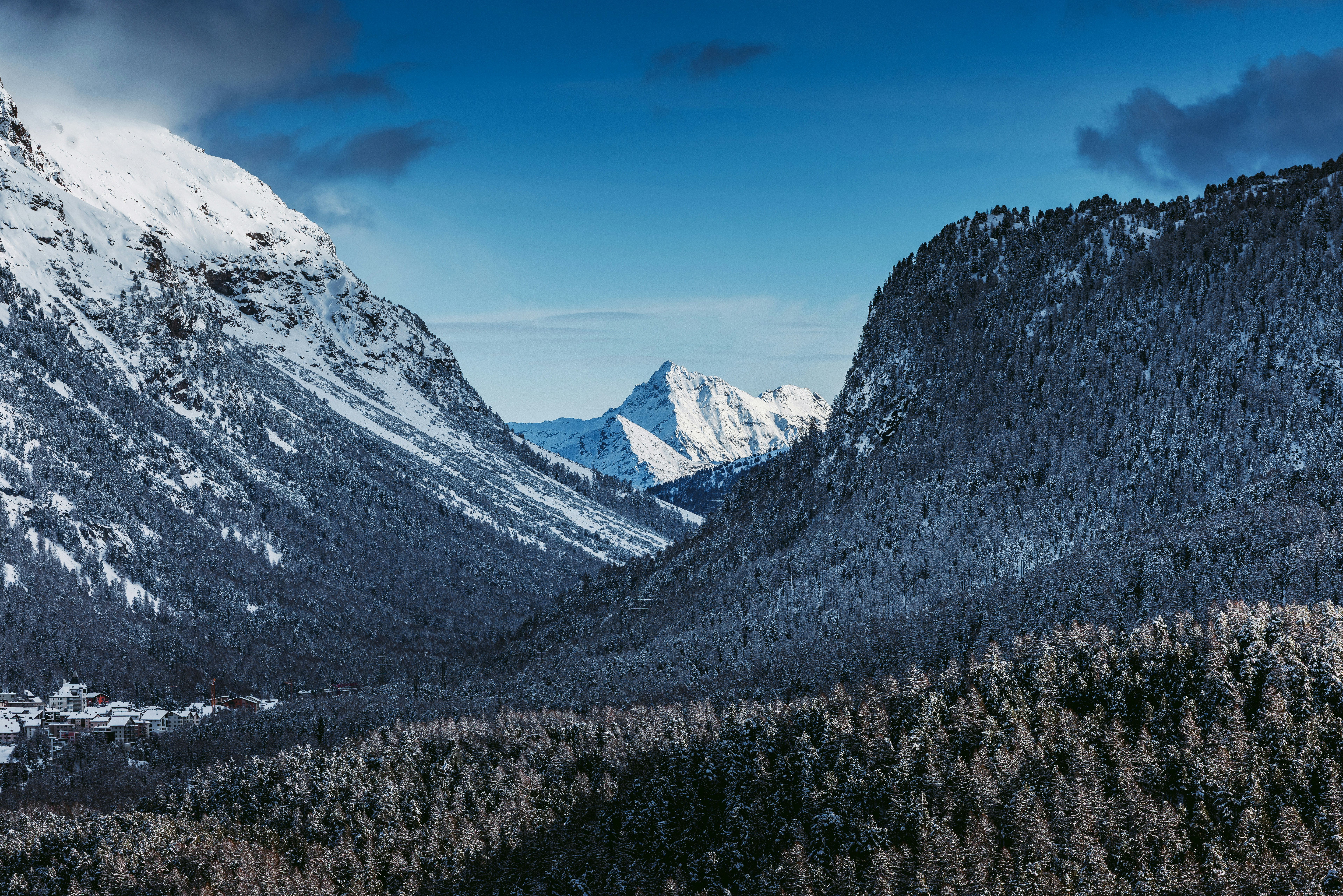 Photo by springsimon