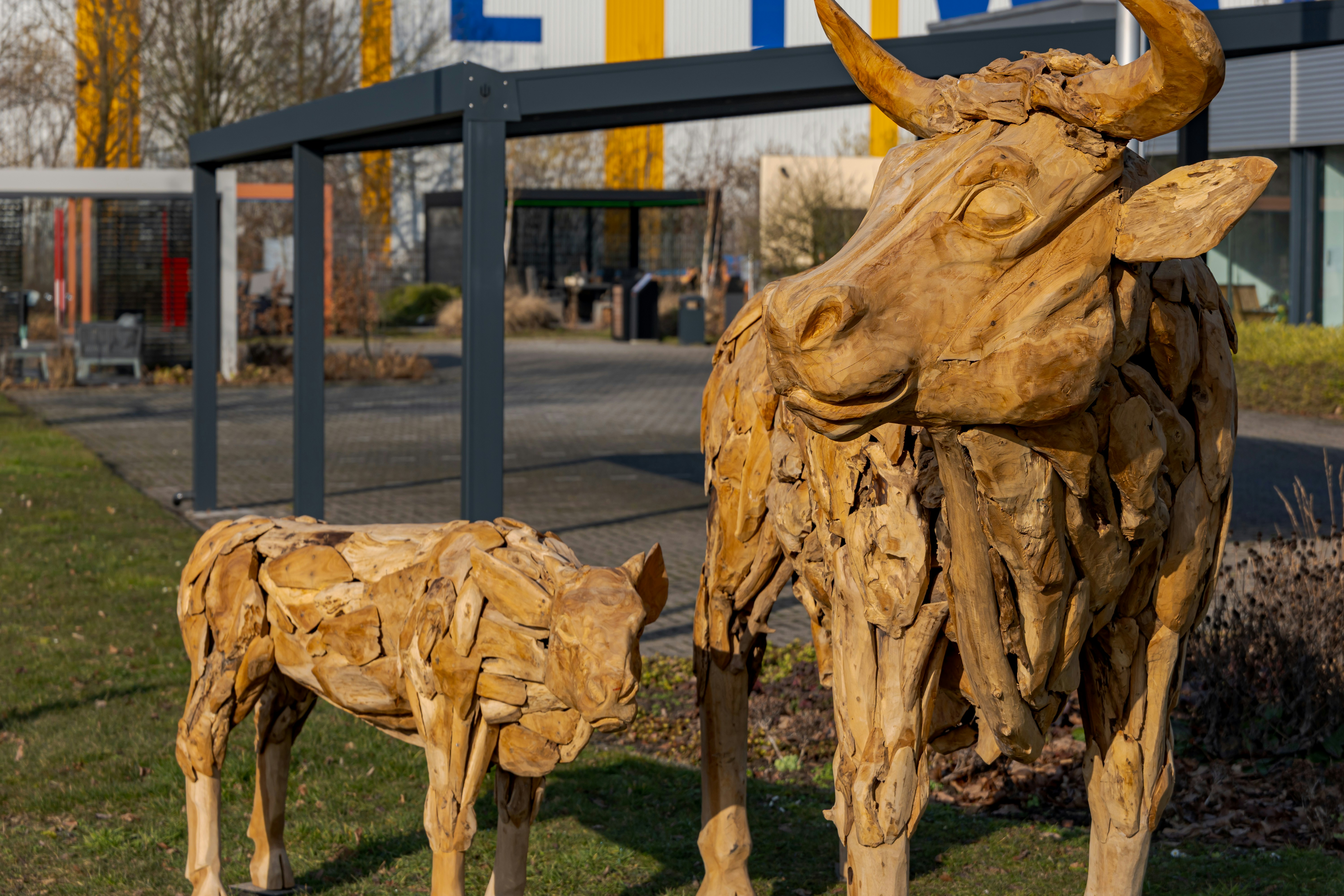 Sculture in legno di un toro e un vitello all'aperto