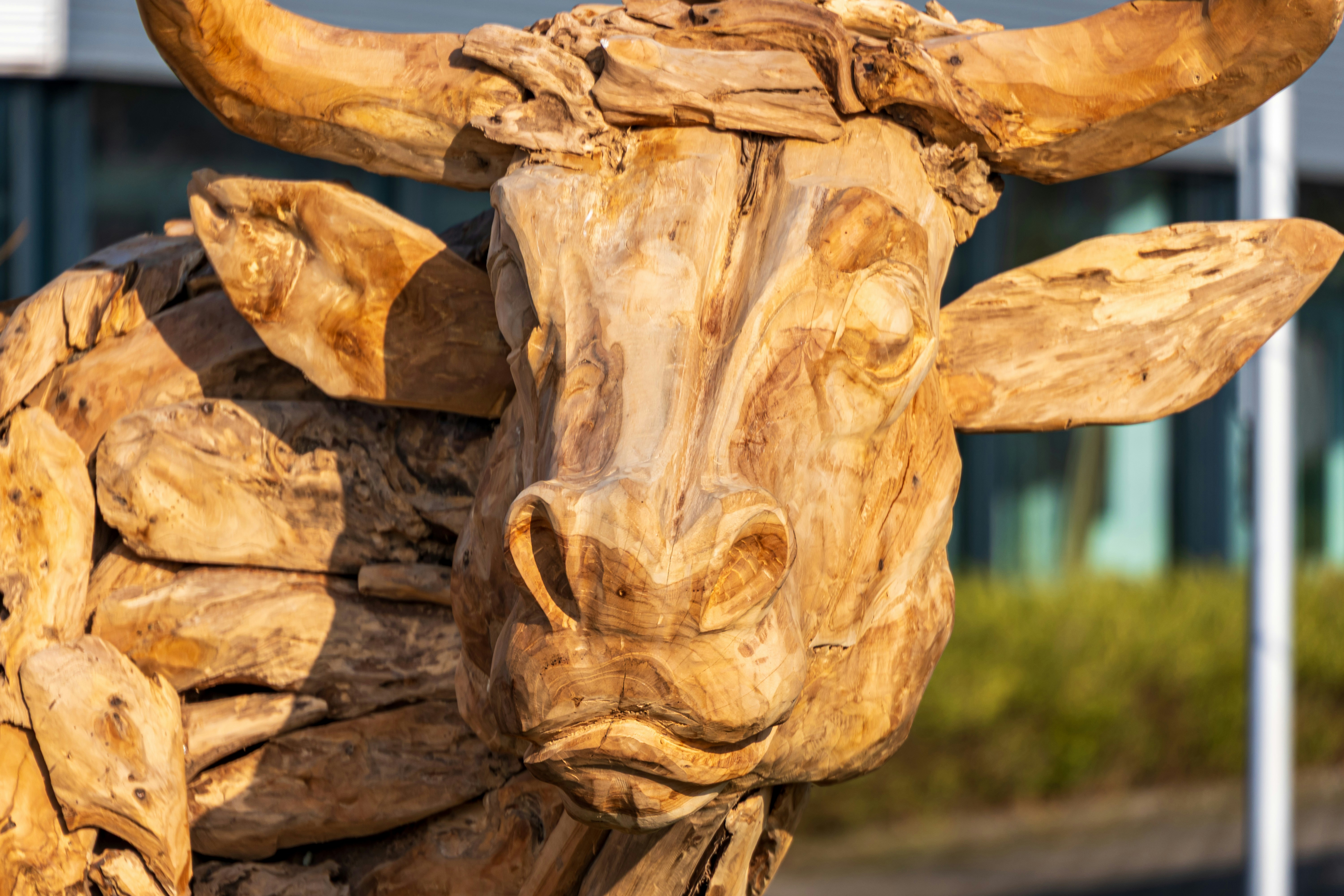 Wooden sculpture of a bull's head with large horns