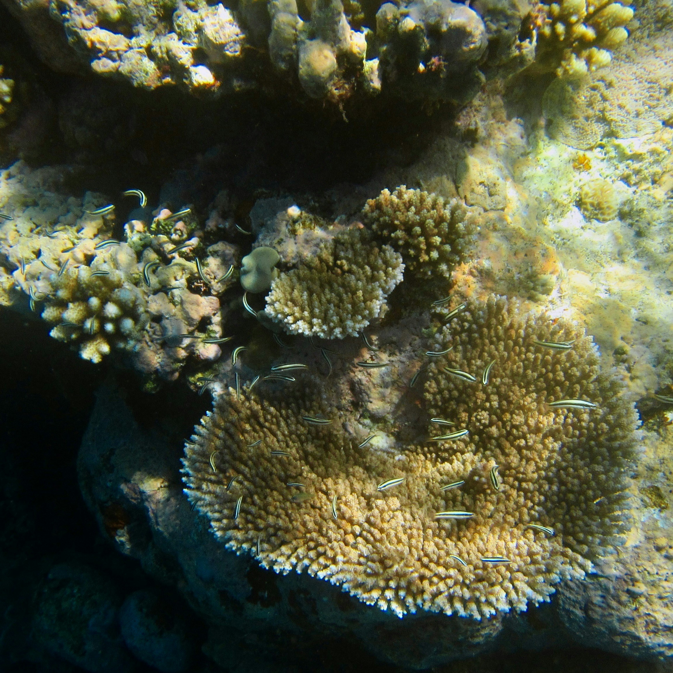 Photo by tejaonthehorizon