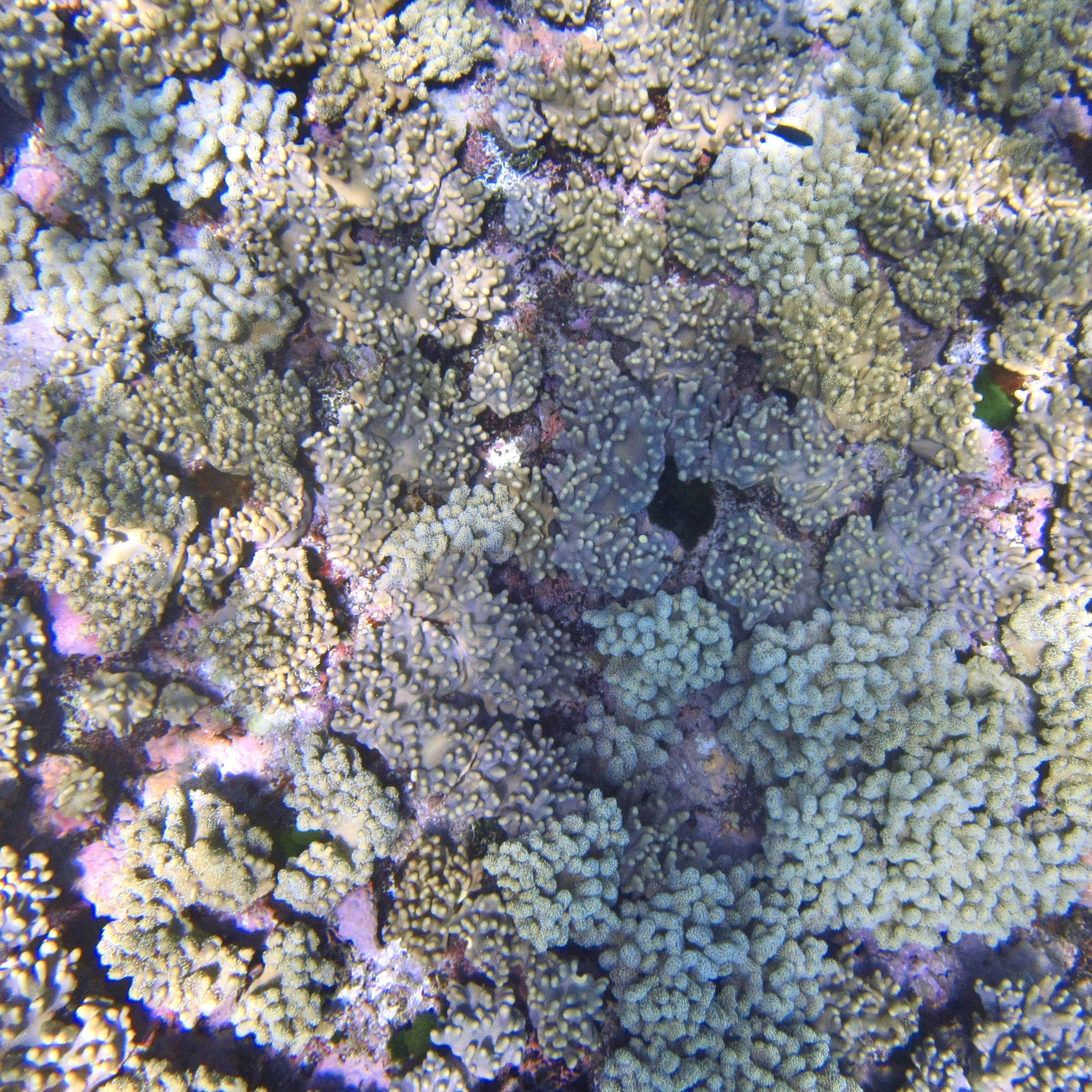 Photo by tejaonthehorizon