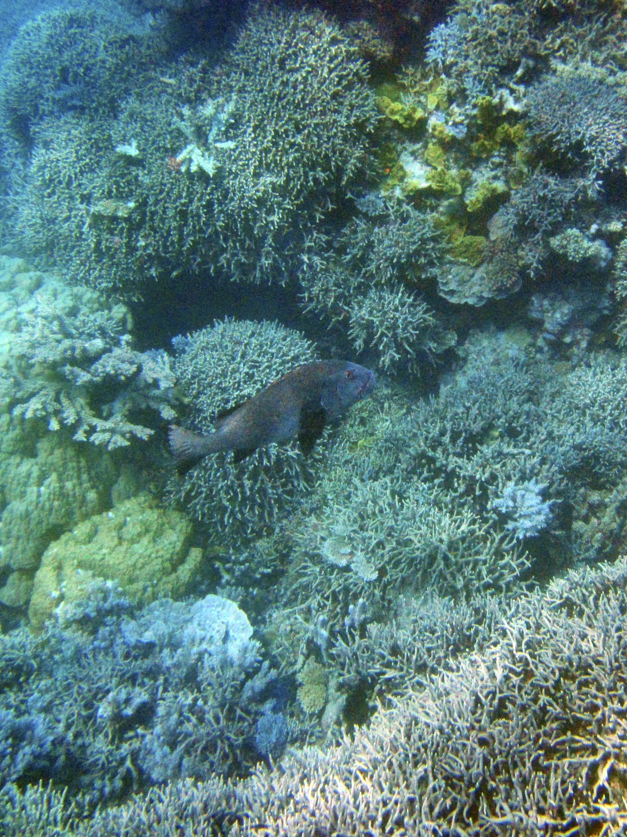 Photo by tejaonthehorizon