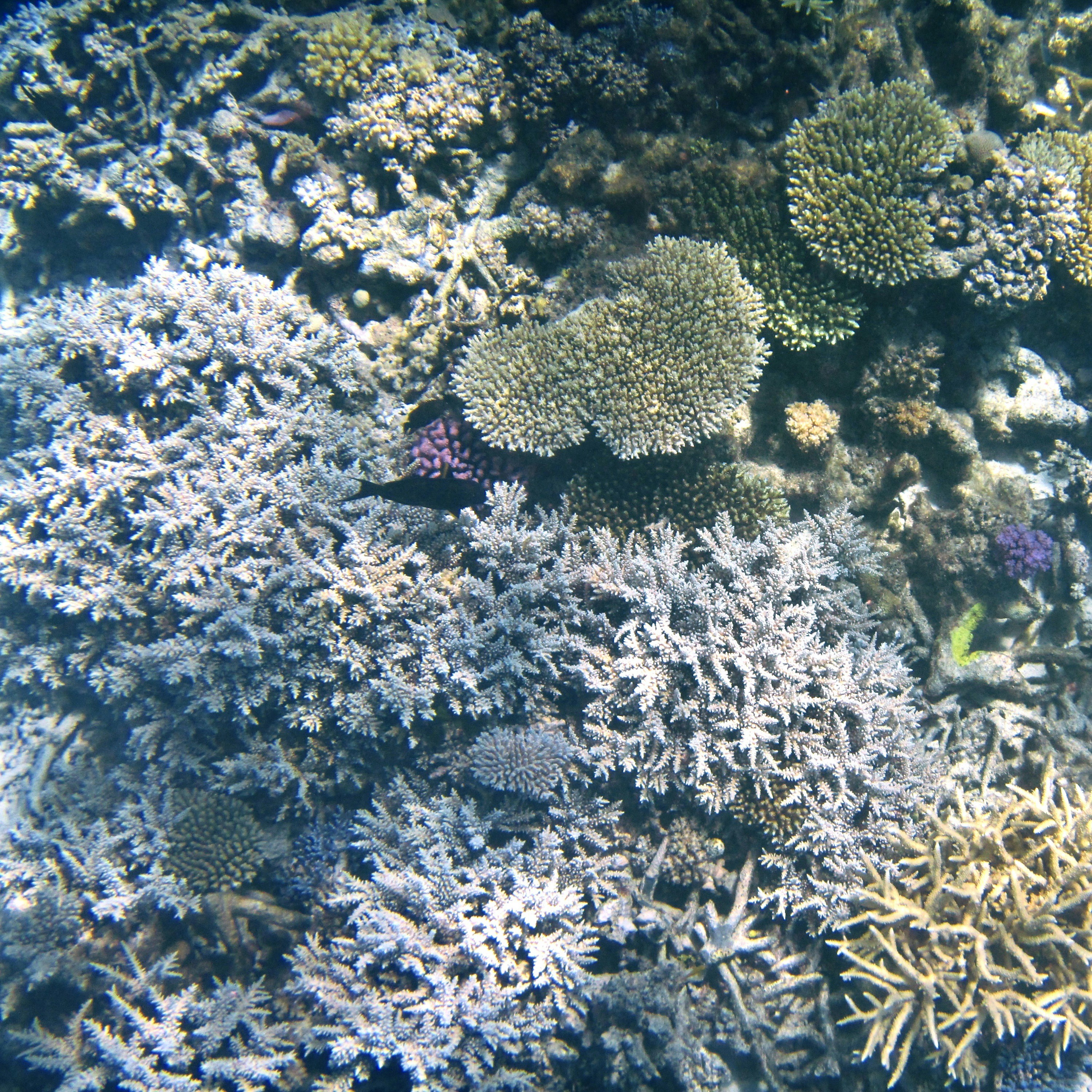 Photo by tejaonthehorizon