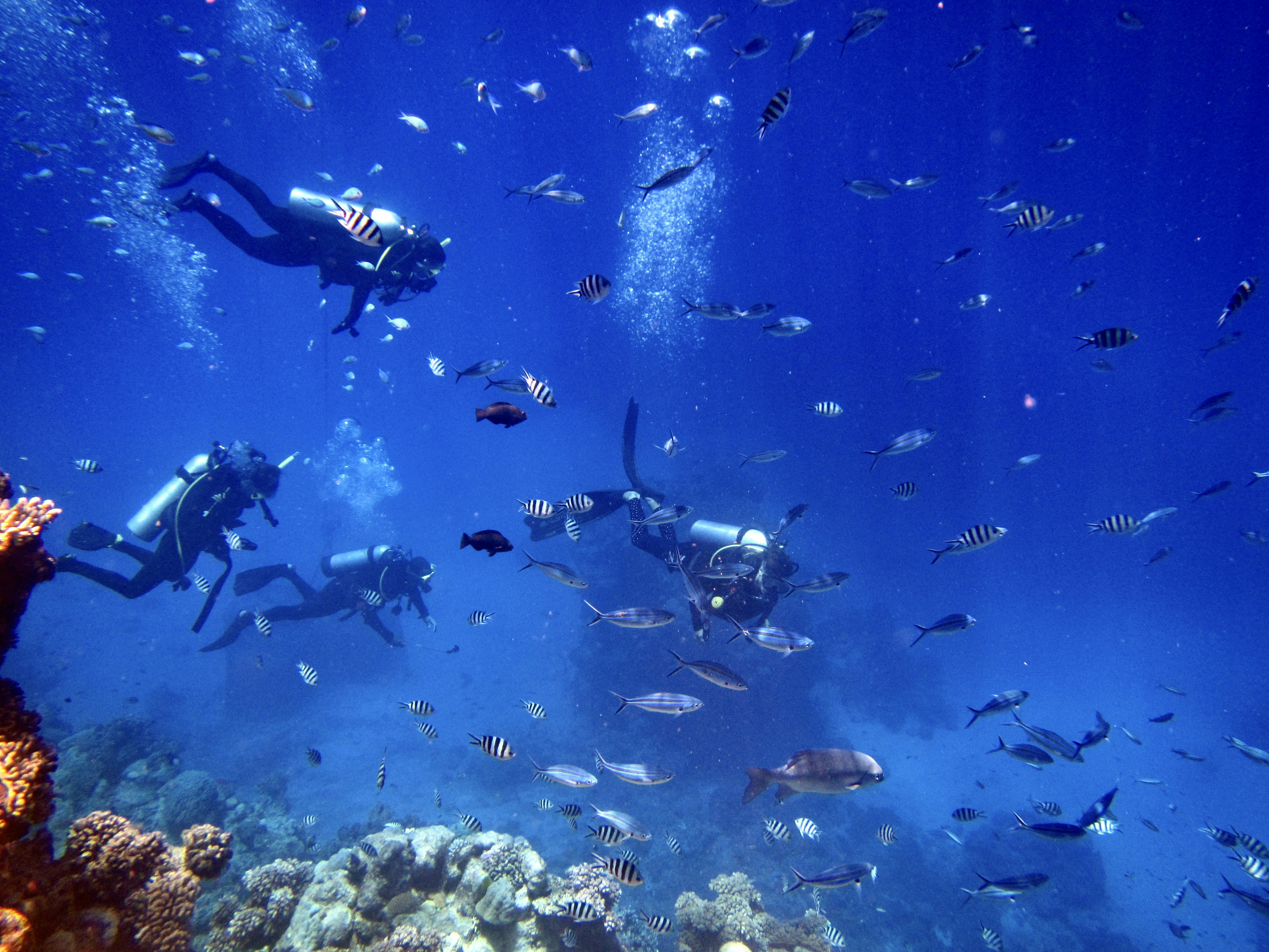 Photo by tejaonthehorizon