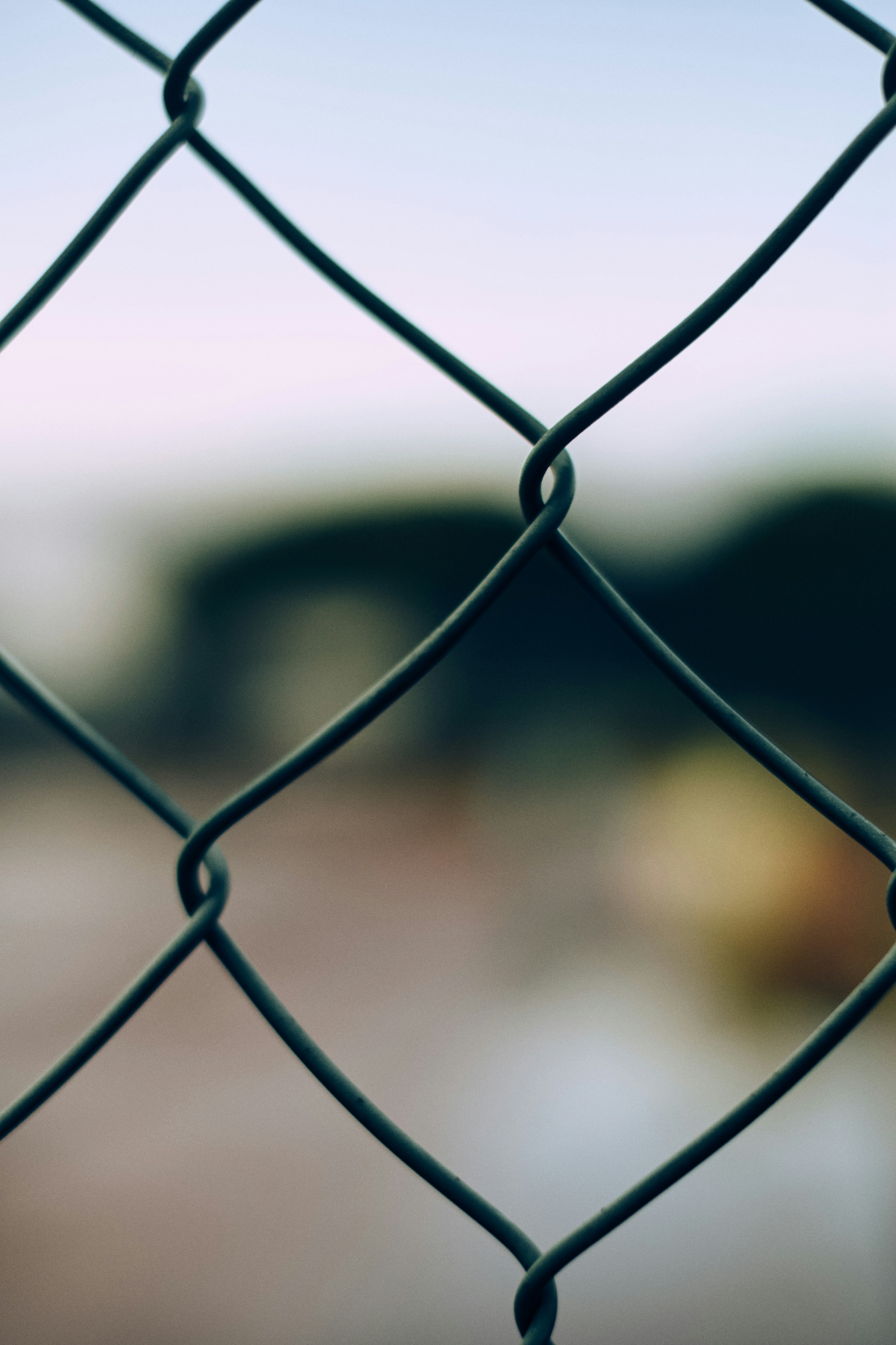 Photo by micheletardivo