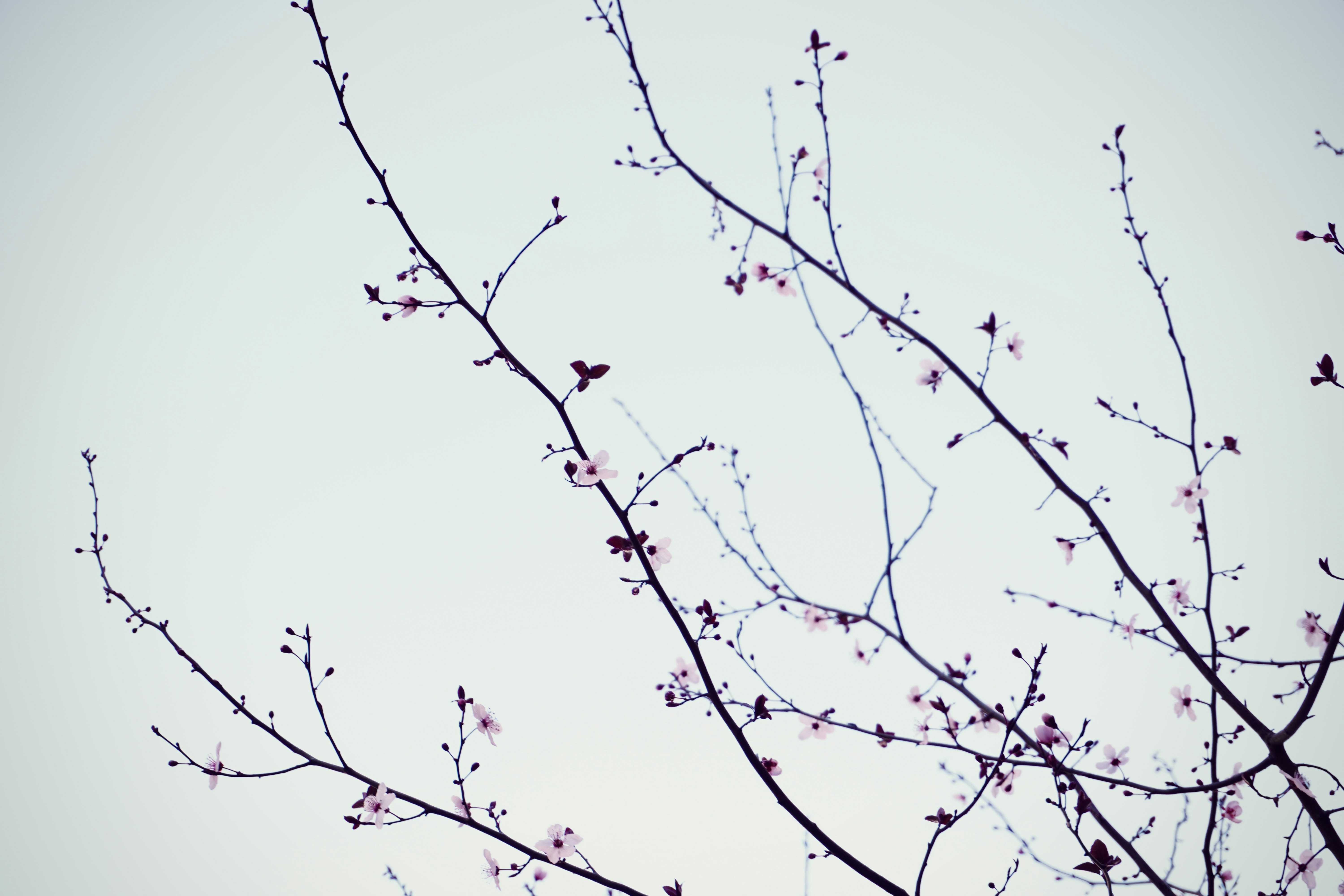 Photo by carlalipani