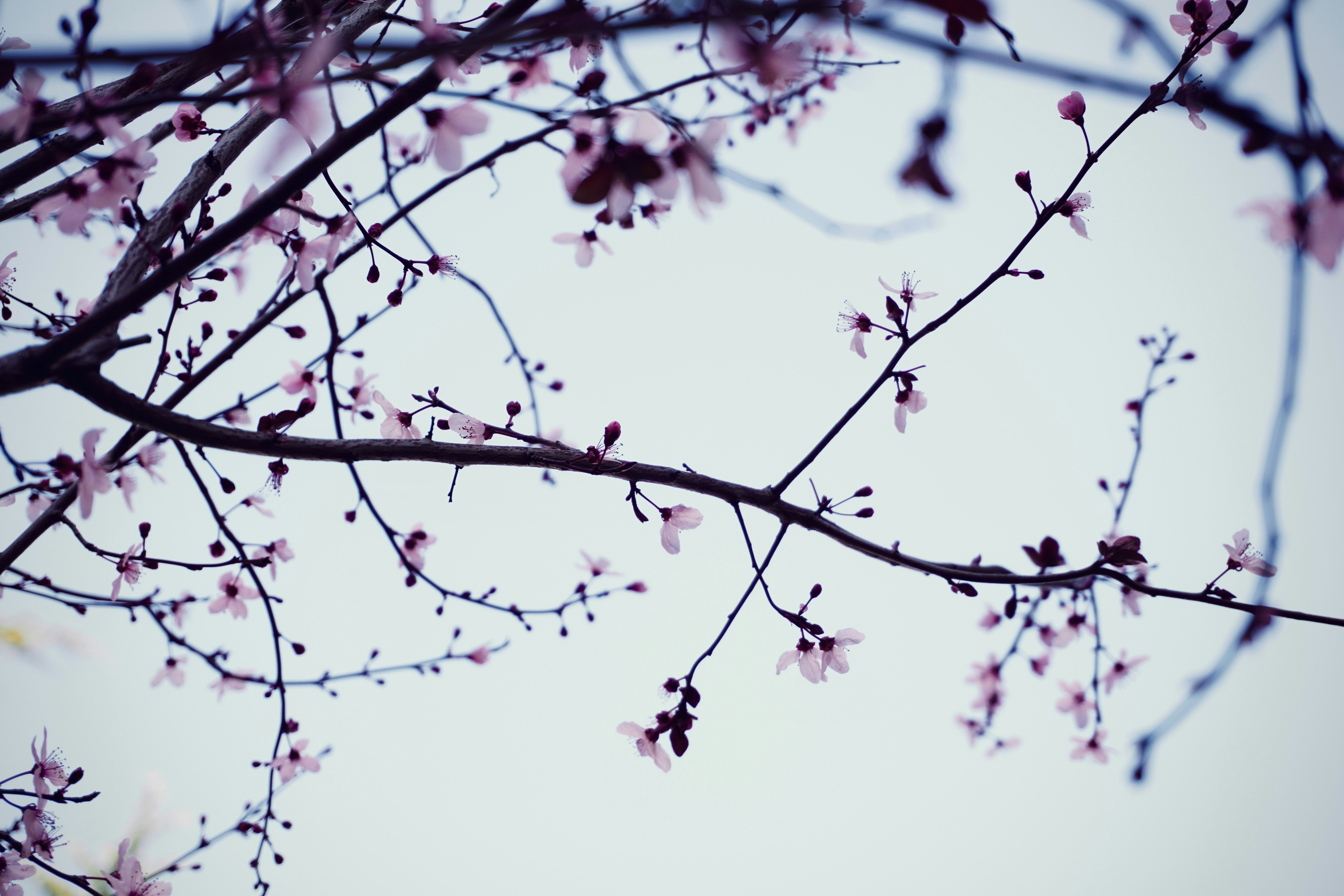 Photo by carlalipani