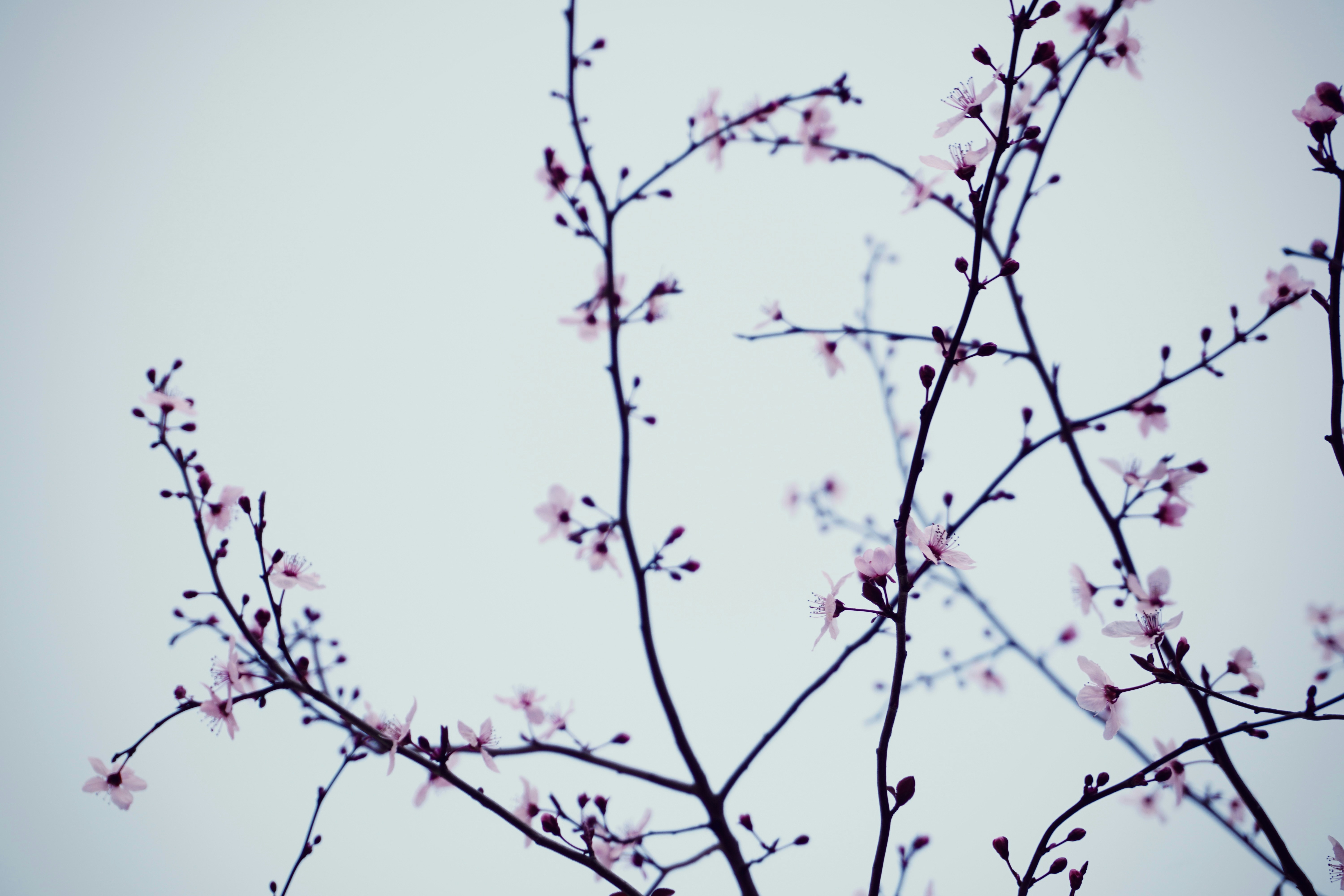 Photo by carlalipani