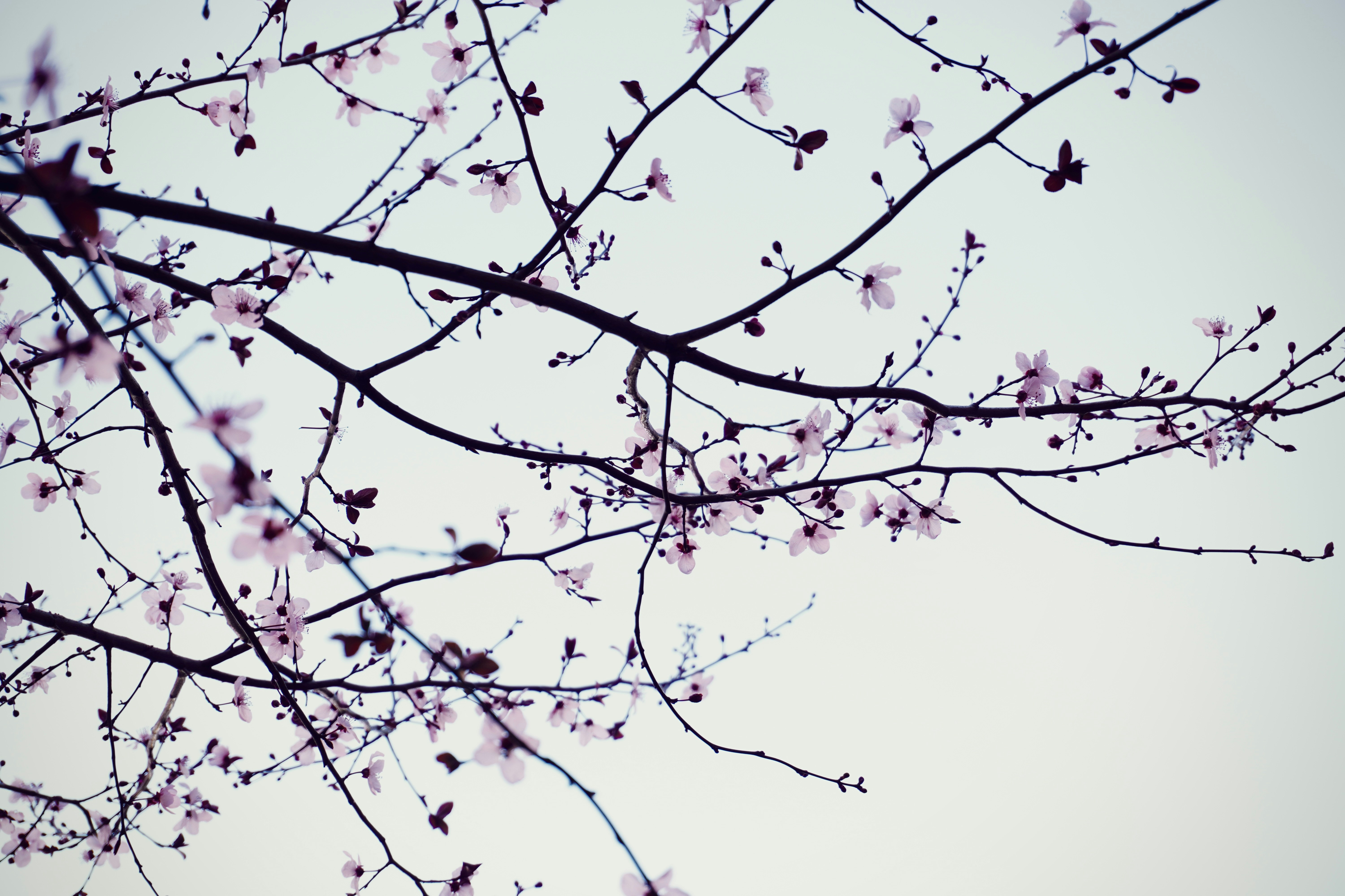 Photo by carlalipani