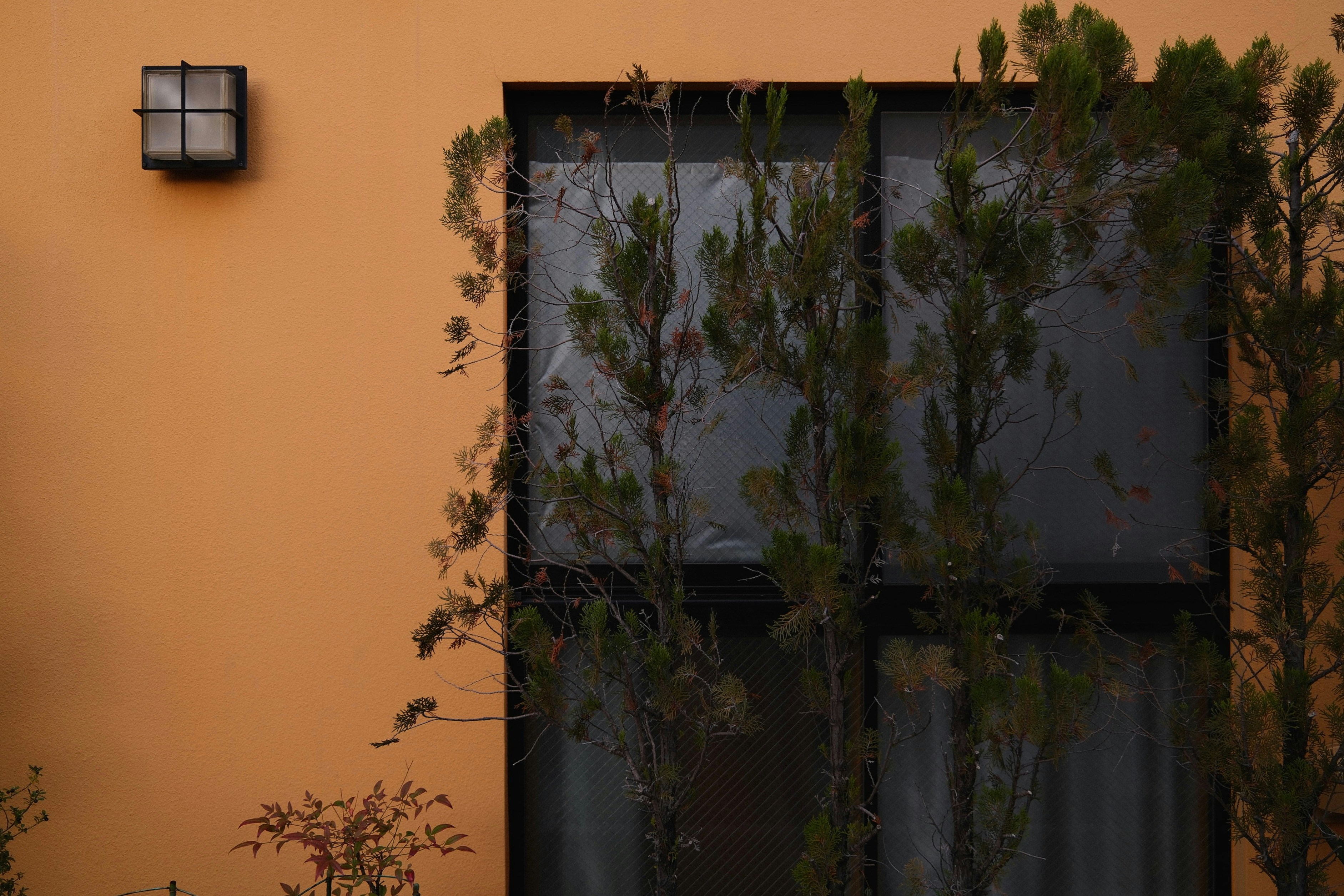 Photo by andre_collins