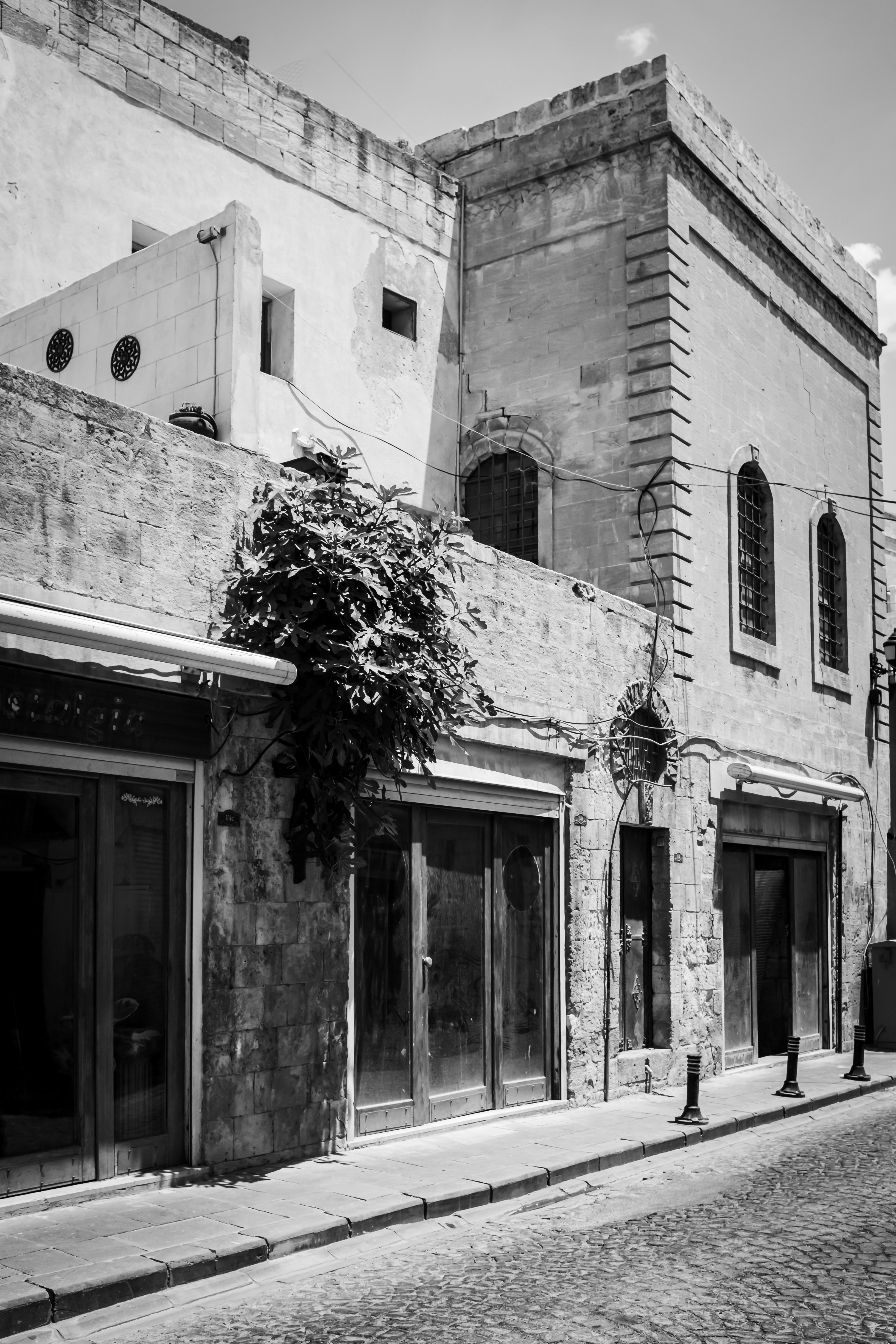 Photo by oldsoulframes