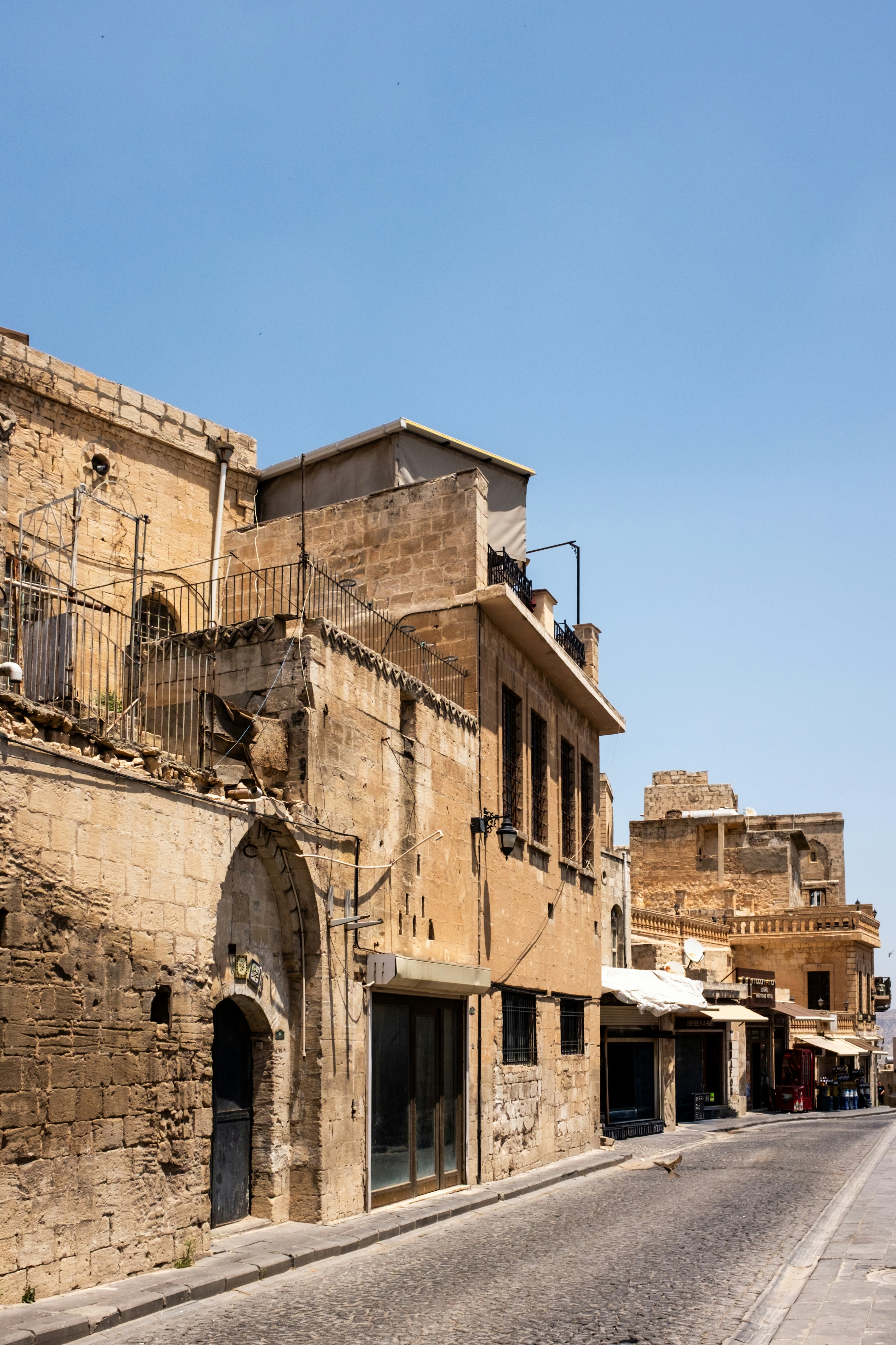 Photo by oldsoulframes