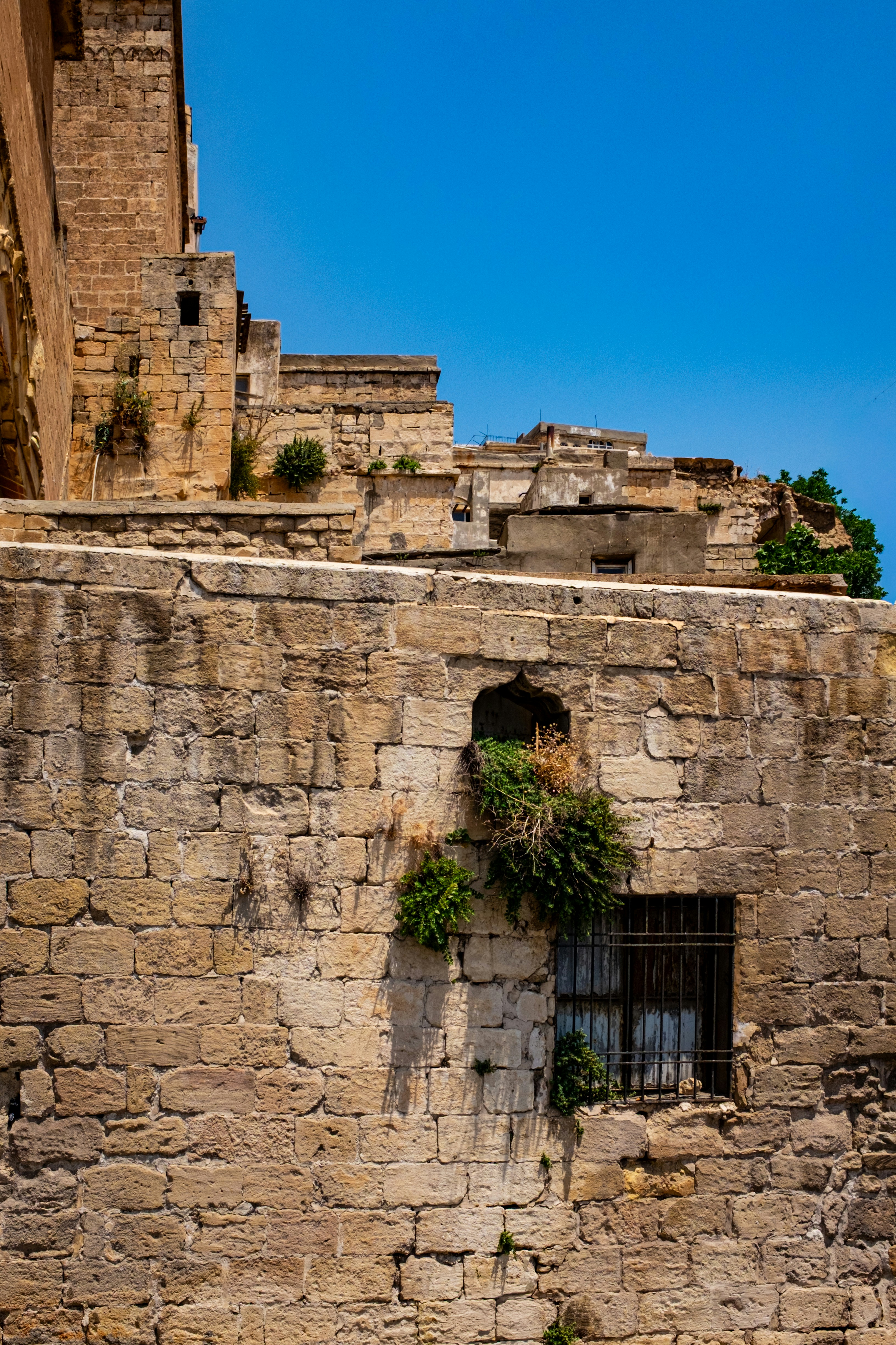 Ancient stone building with plants and barred window