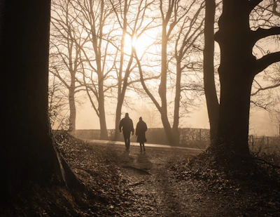 Two people walk on a path through bare trees