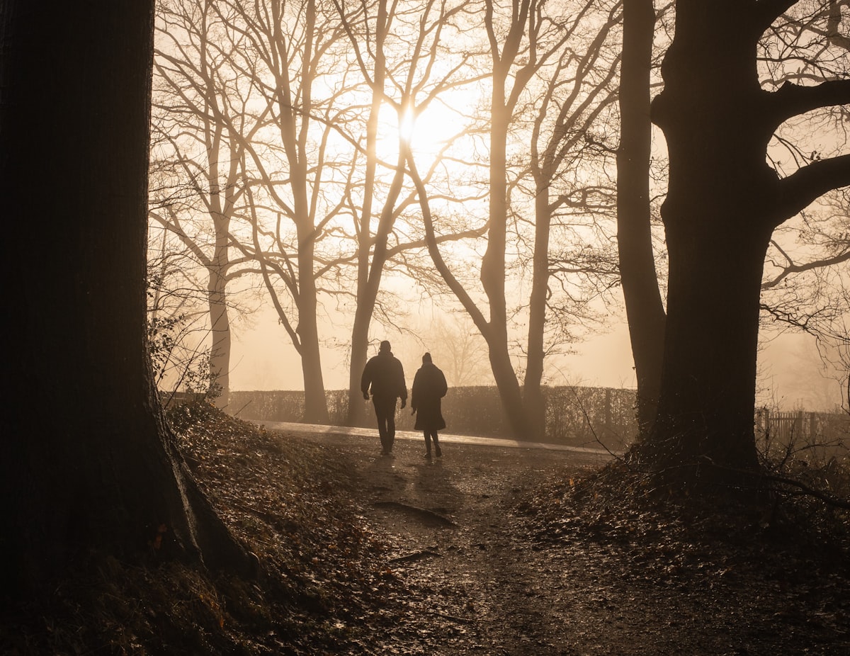 Two people walking on a path through bare winter trees toward a low sunrise