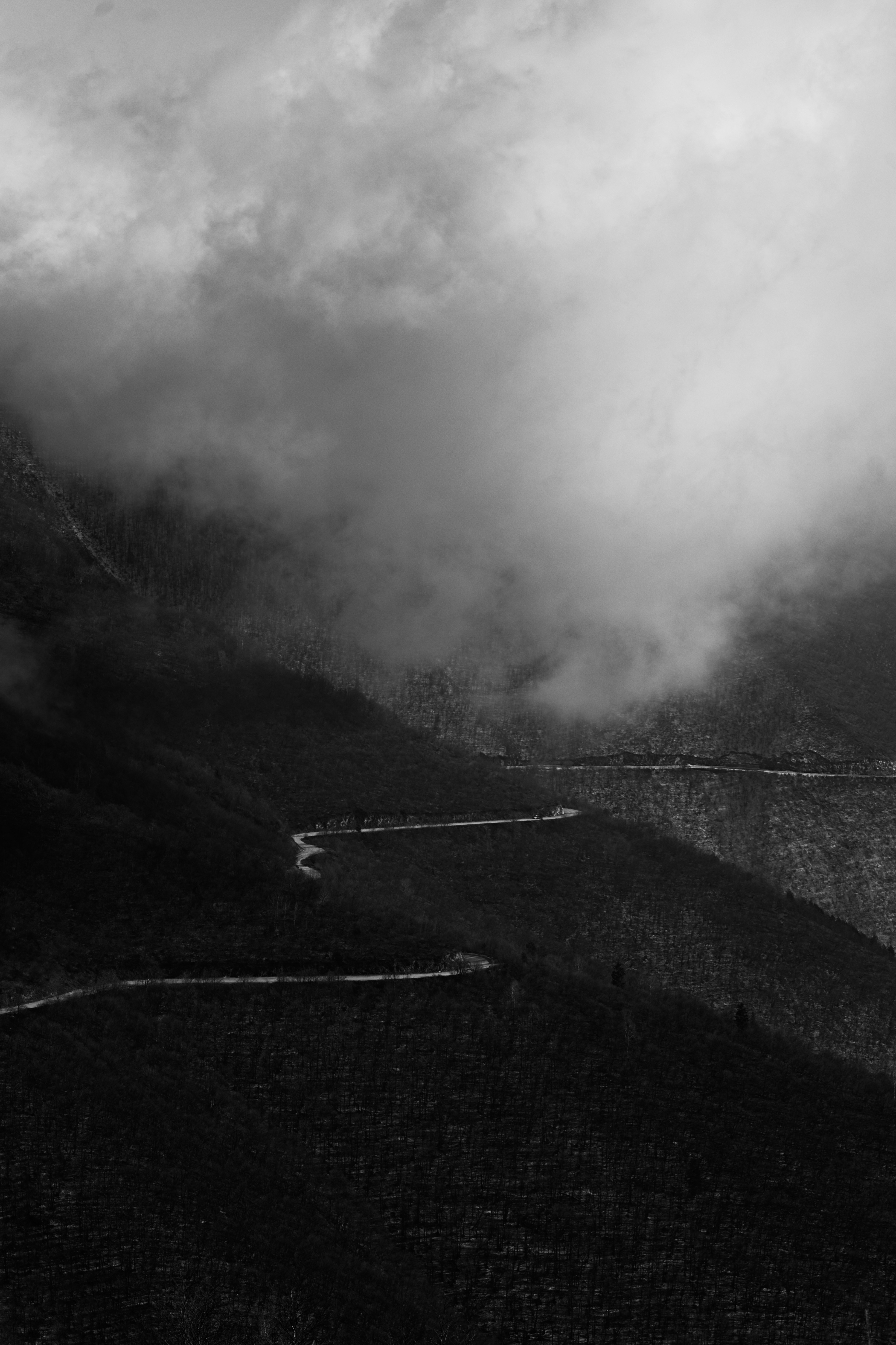 Photo by nedimshoots