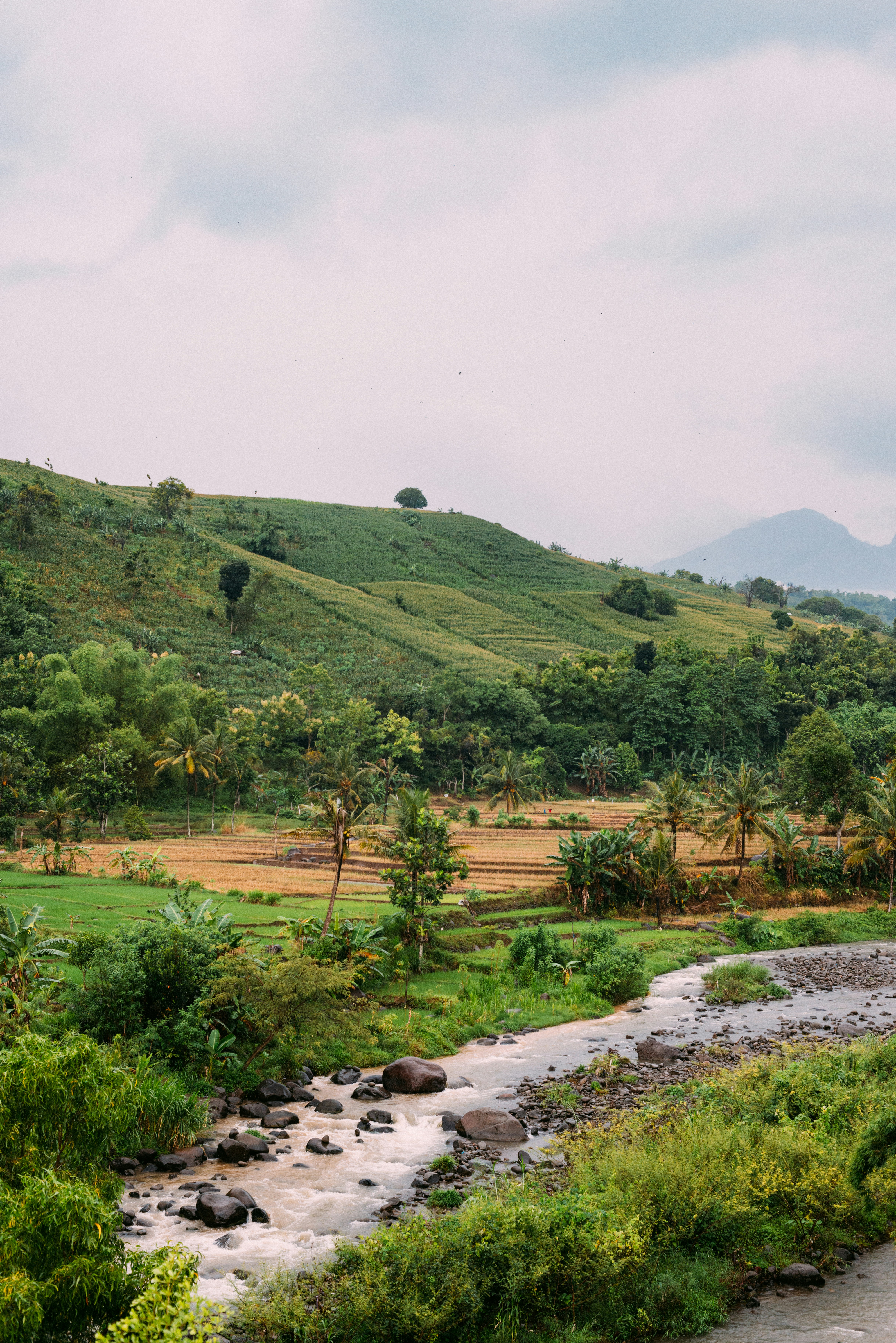 Photo by annoying_salman