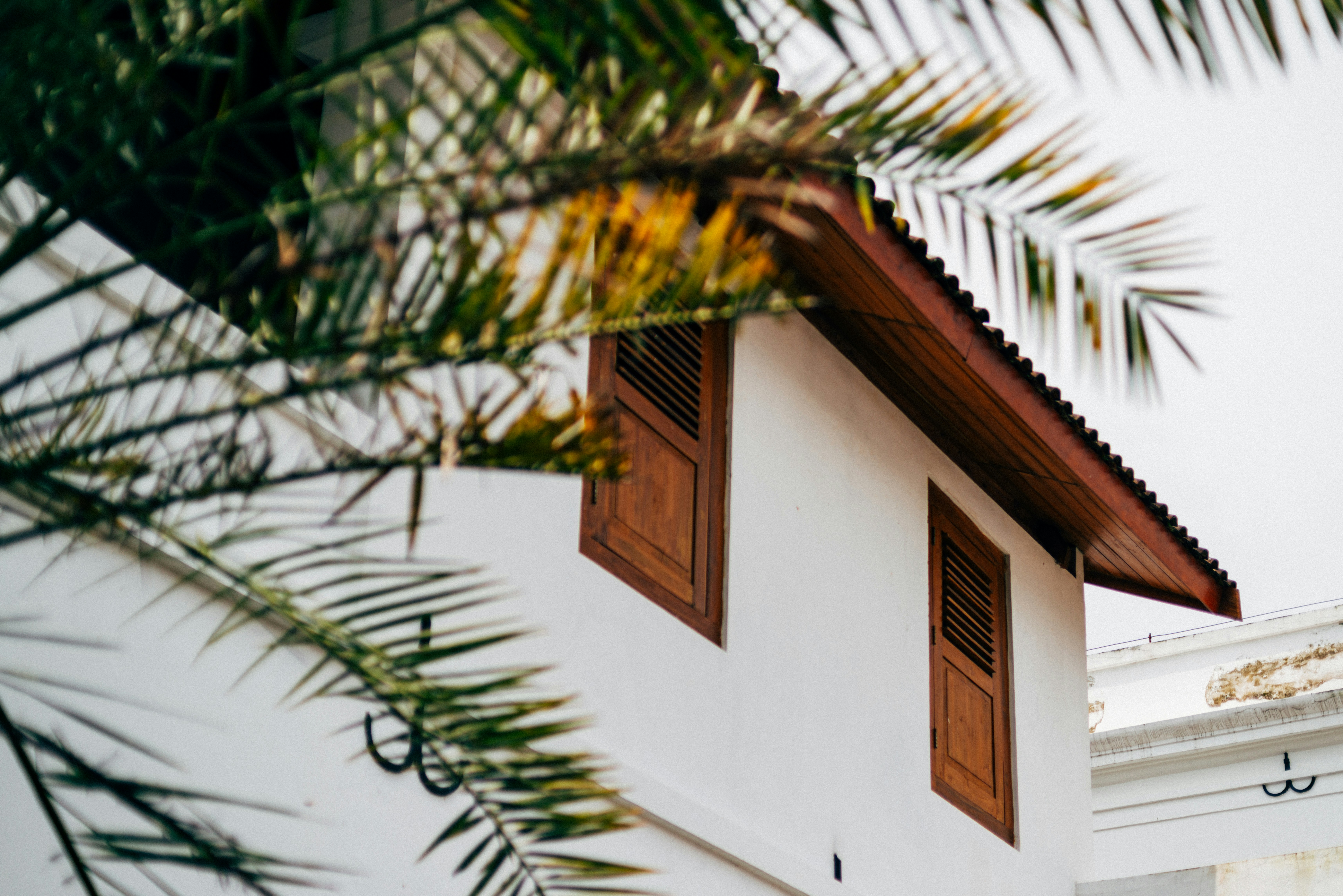 Photo by annoying_salman