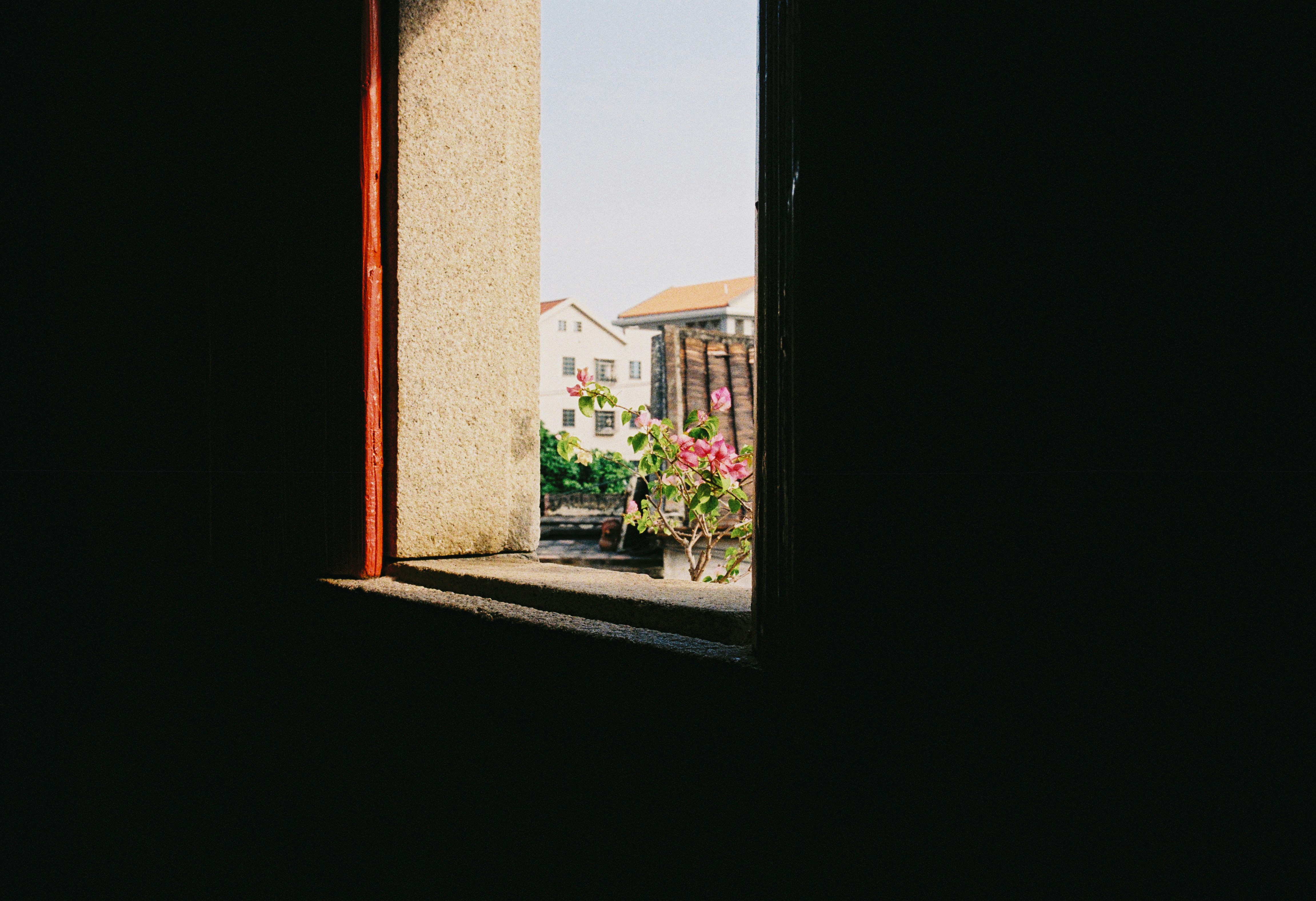 View through a dark window of buildings and plants