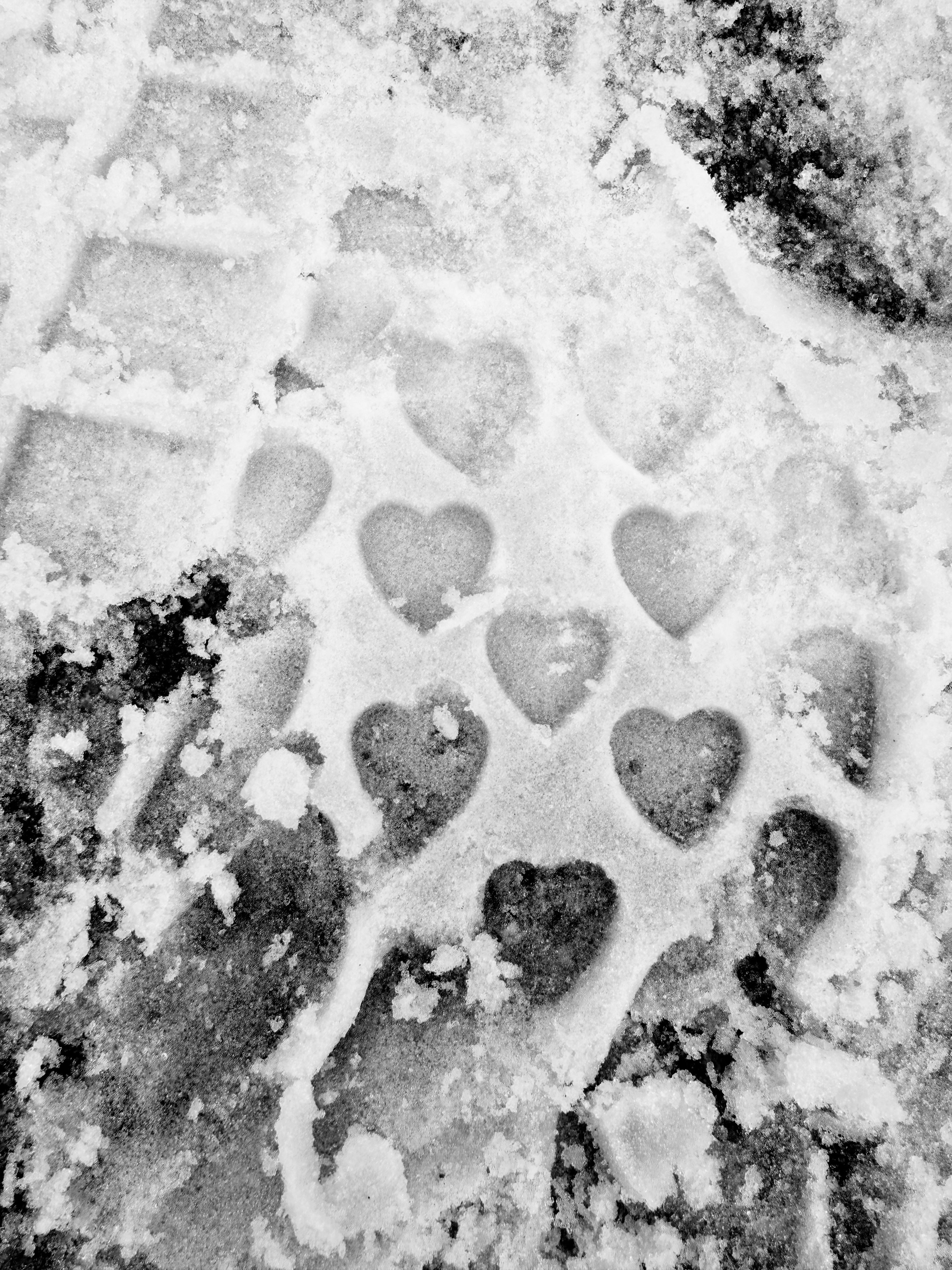 A shoe print in the snow with heart shapes.