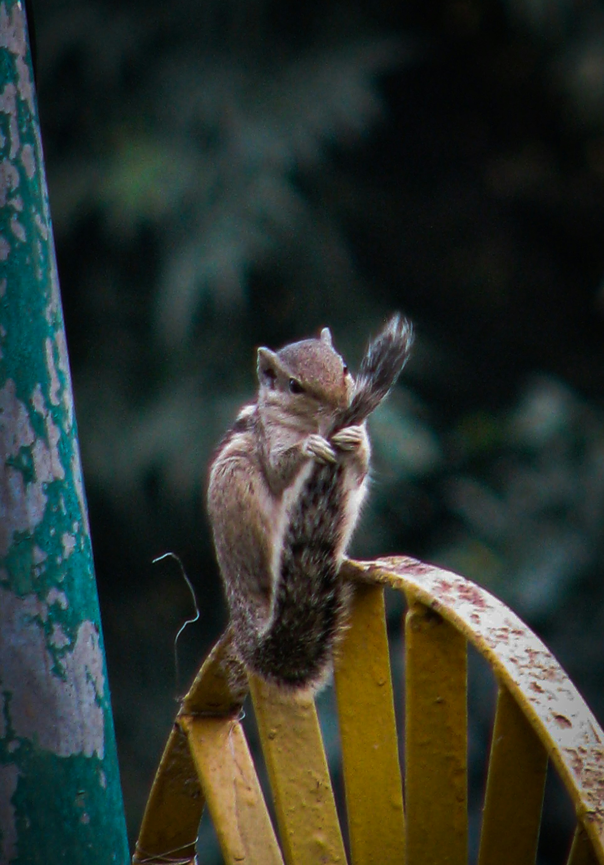 Photo by pratheekgn06