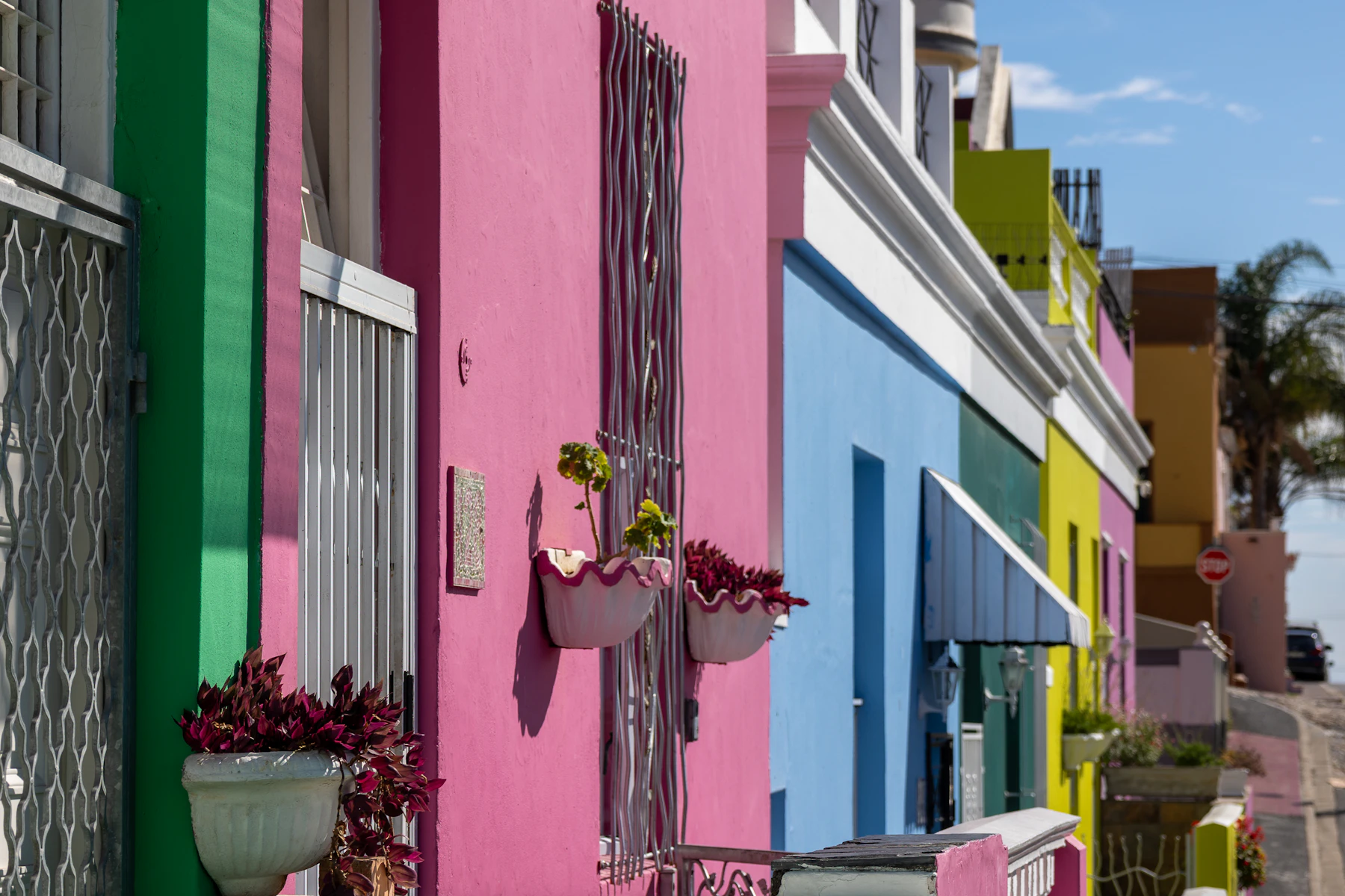 A row of colourful Cape Town houses