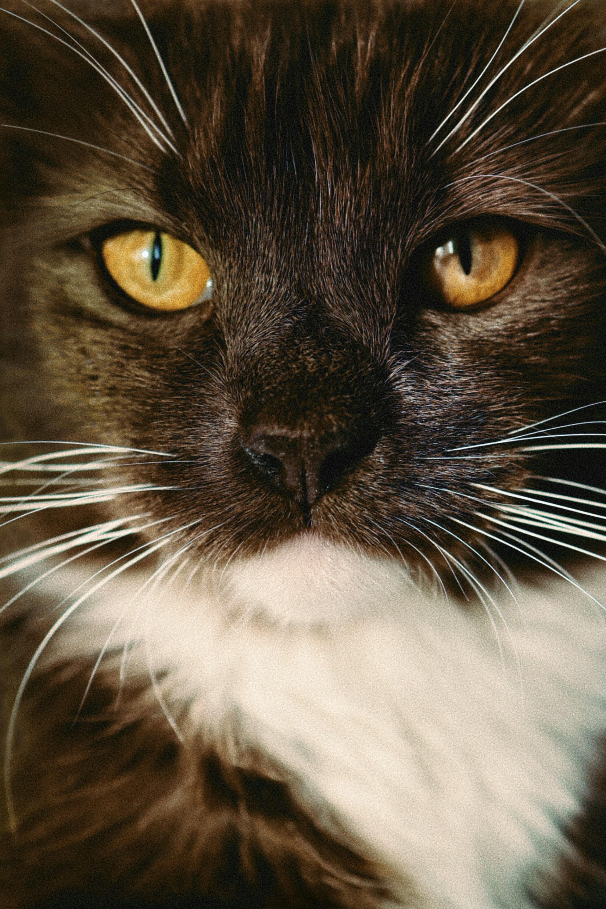 Photo by evgeniya_pron