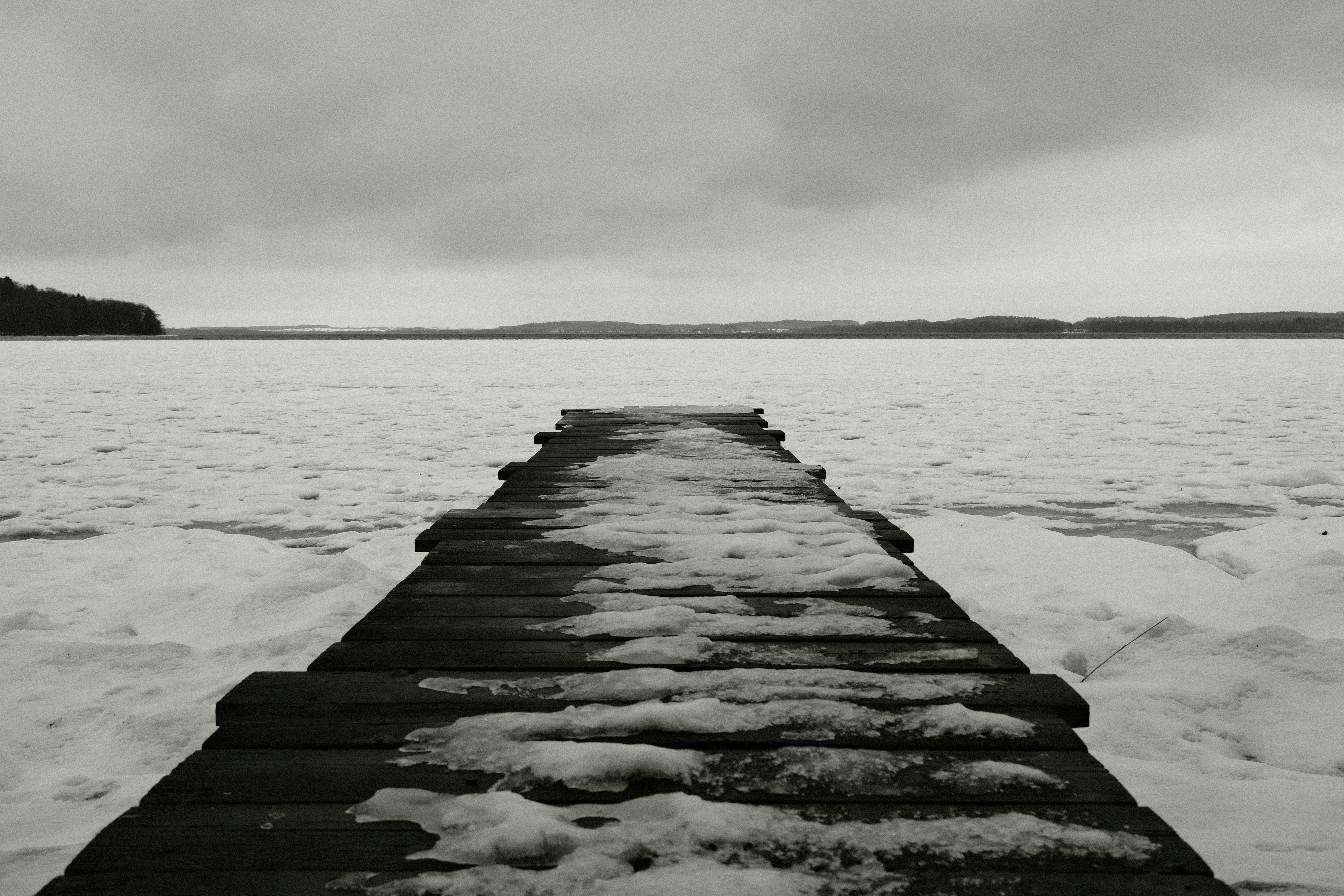 Photo by michaelheld