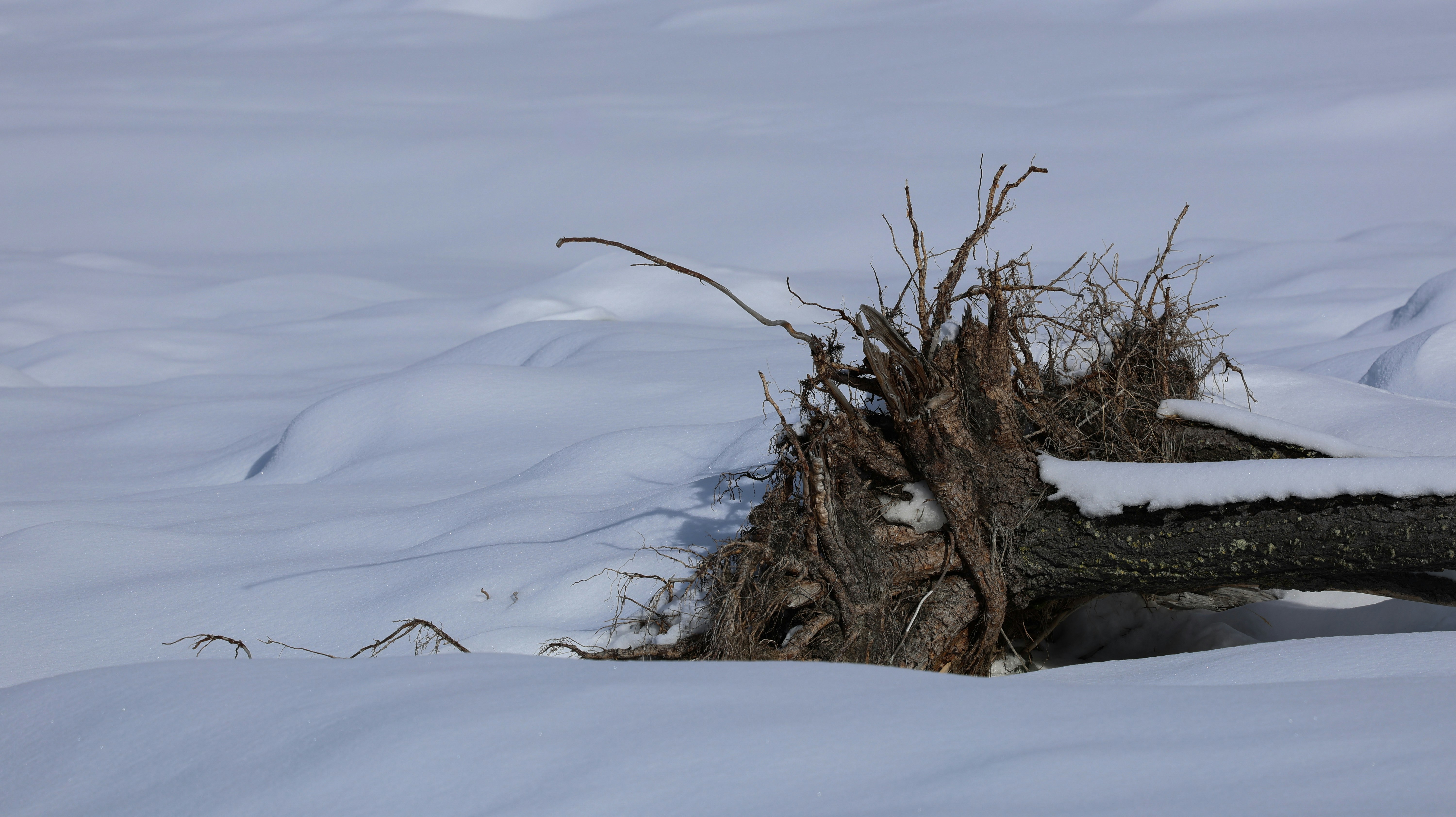 Photo by valomukitse